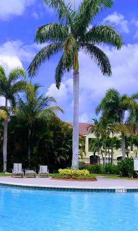 10282 S FOX TRAIL Road S, #214, Royal Palm Beach, Royal Palm Beach, FL 33411 unnamed (9)