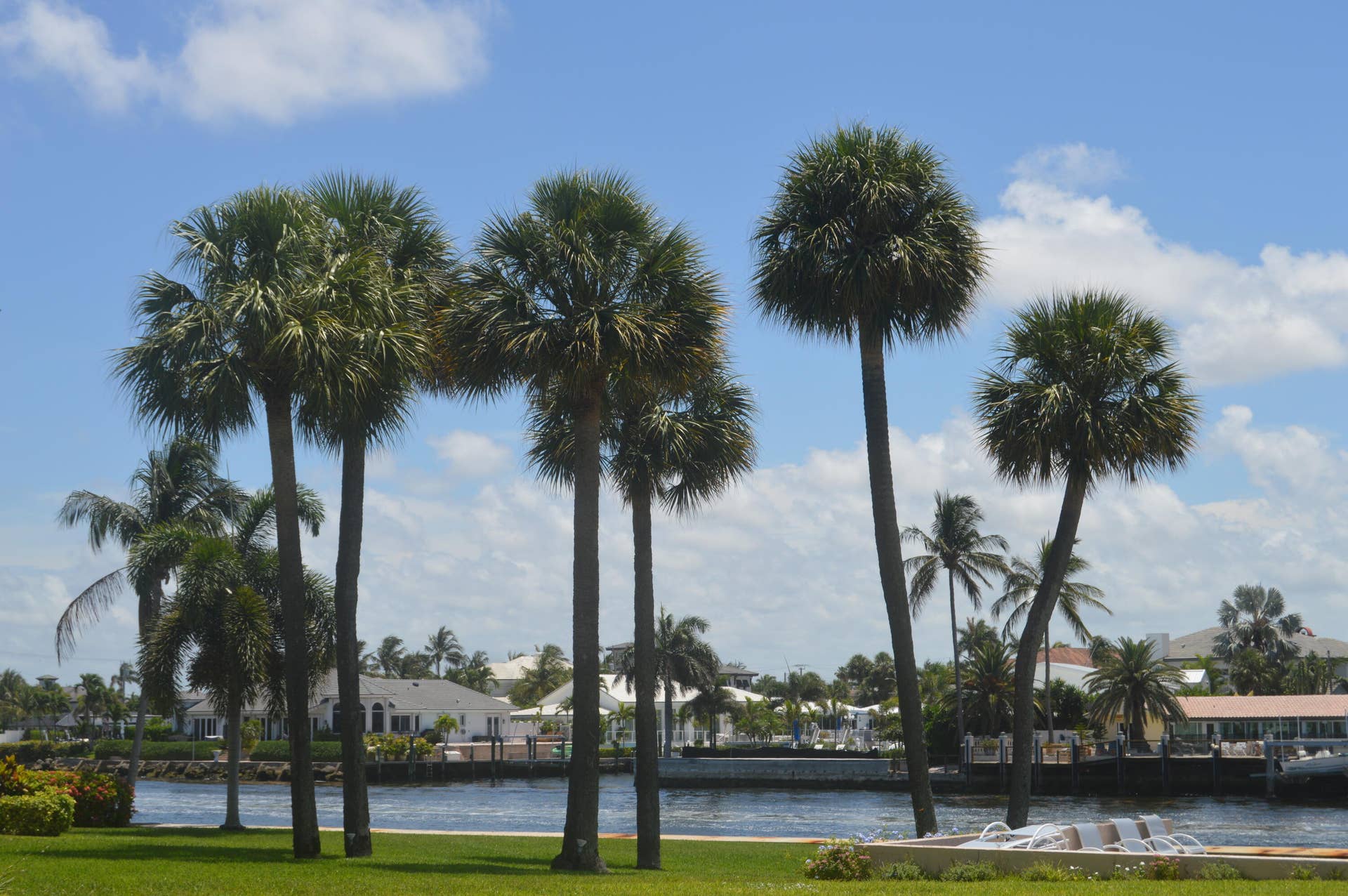 745 SE 19TH Avenue, #120, Deerfield Beach, FL 33441 DSC_0117