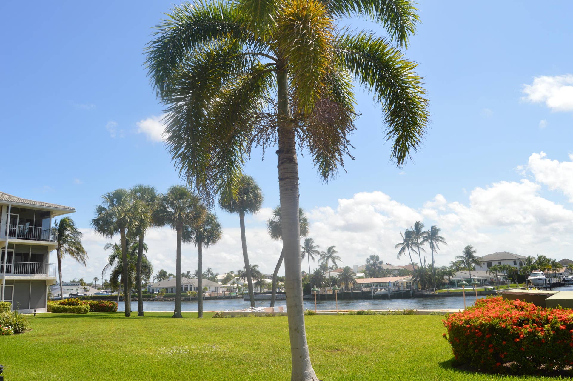 745 SE 19TH Avenue, #120, Deerfield Beach, FL 33441 DSC_0142
