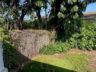 6110 FRANCIS Street, #2, Jupiter, Jupiter, FL 33458 unnamed (8)