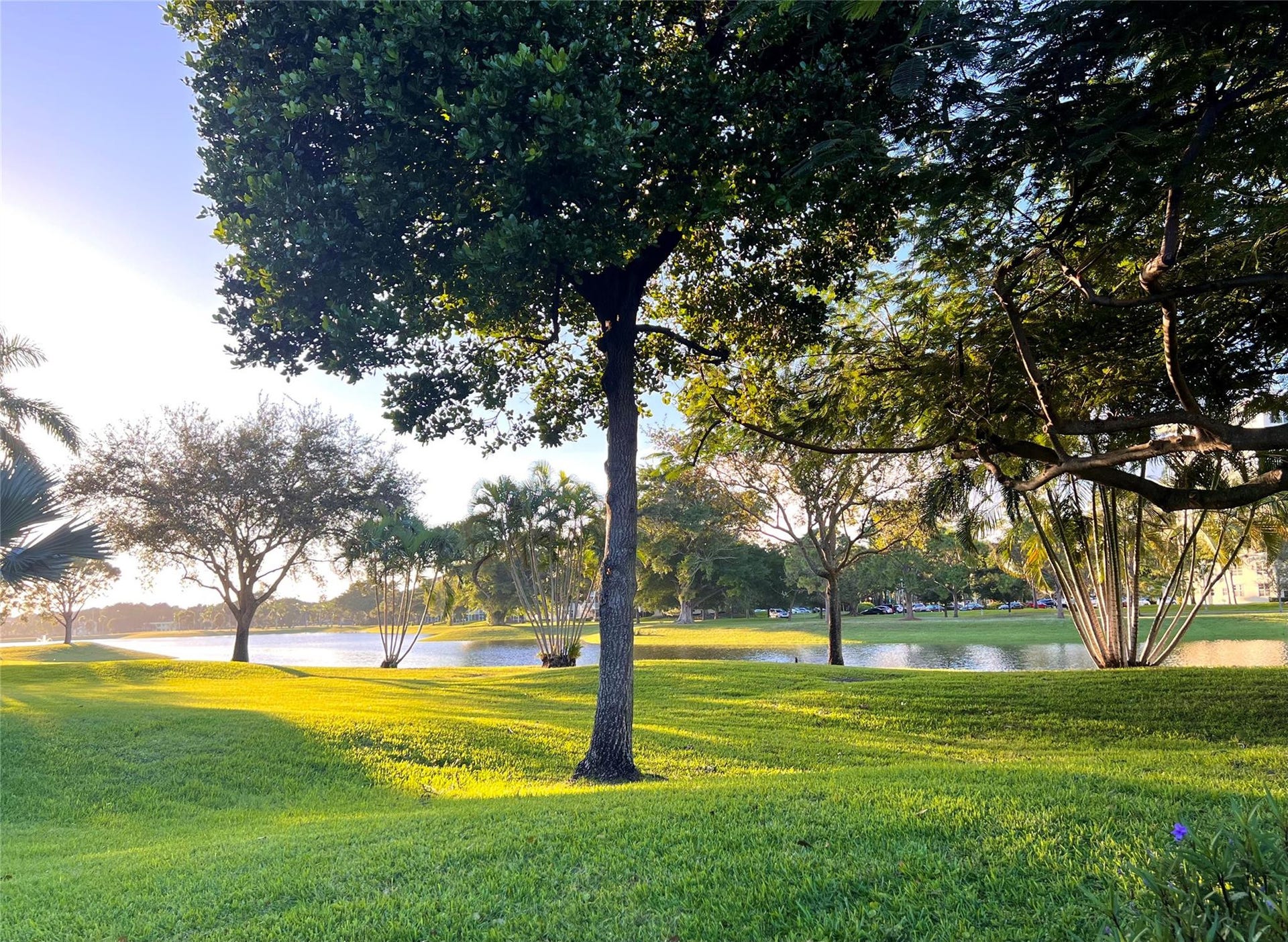 3010 N COURSE Drive, #511, Pompano Beach, Pompano Beach, FL 33069 Photo 45