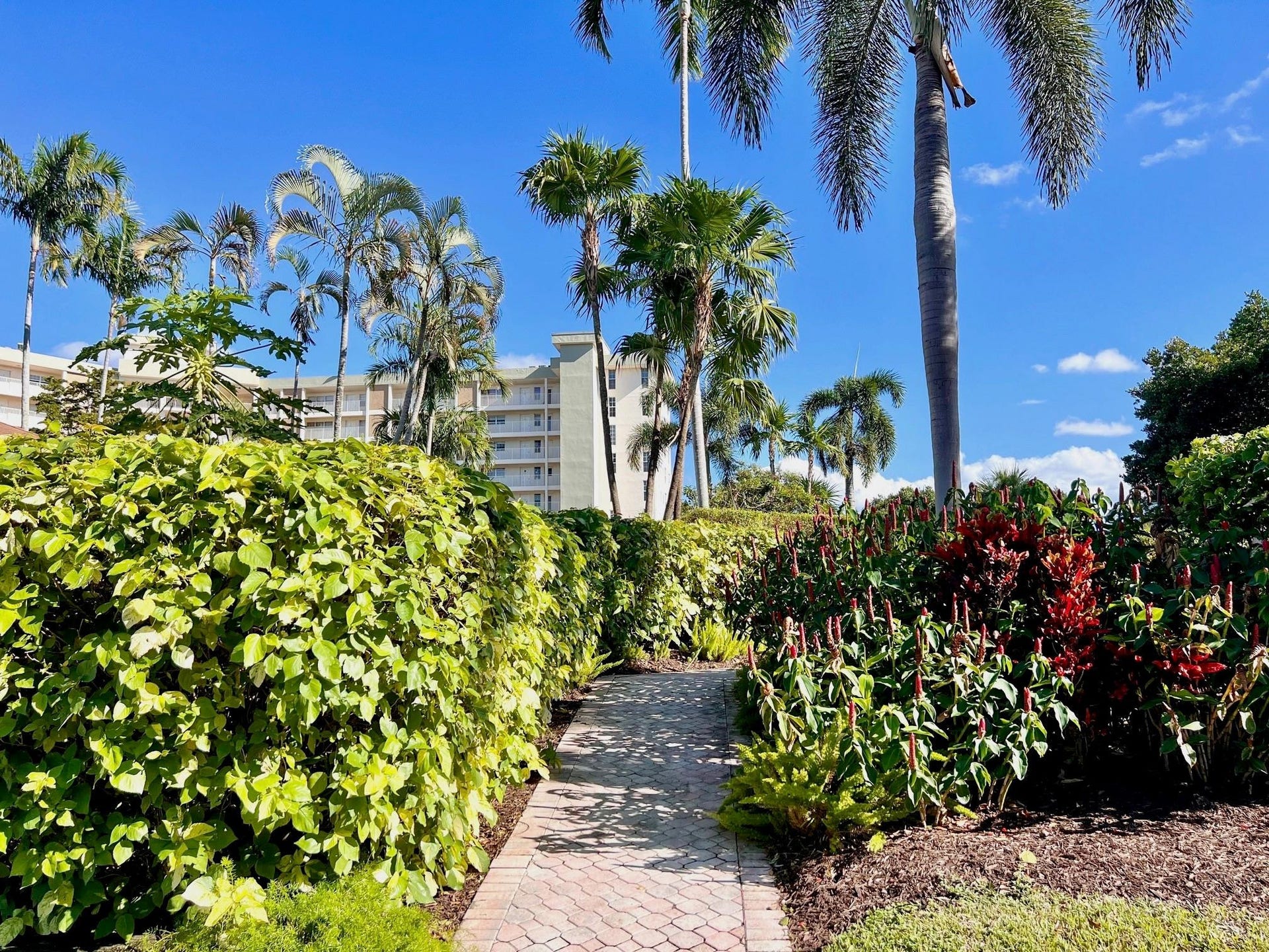 3010 N COURSE Drive, #511, Pompano Beach, Pompano Beach, FL 33069 Photo 38