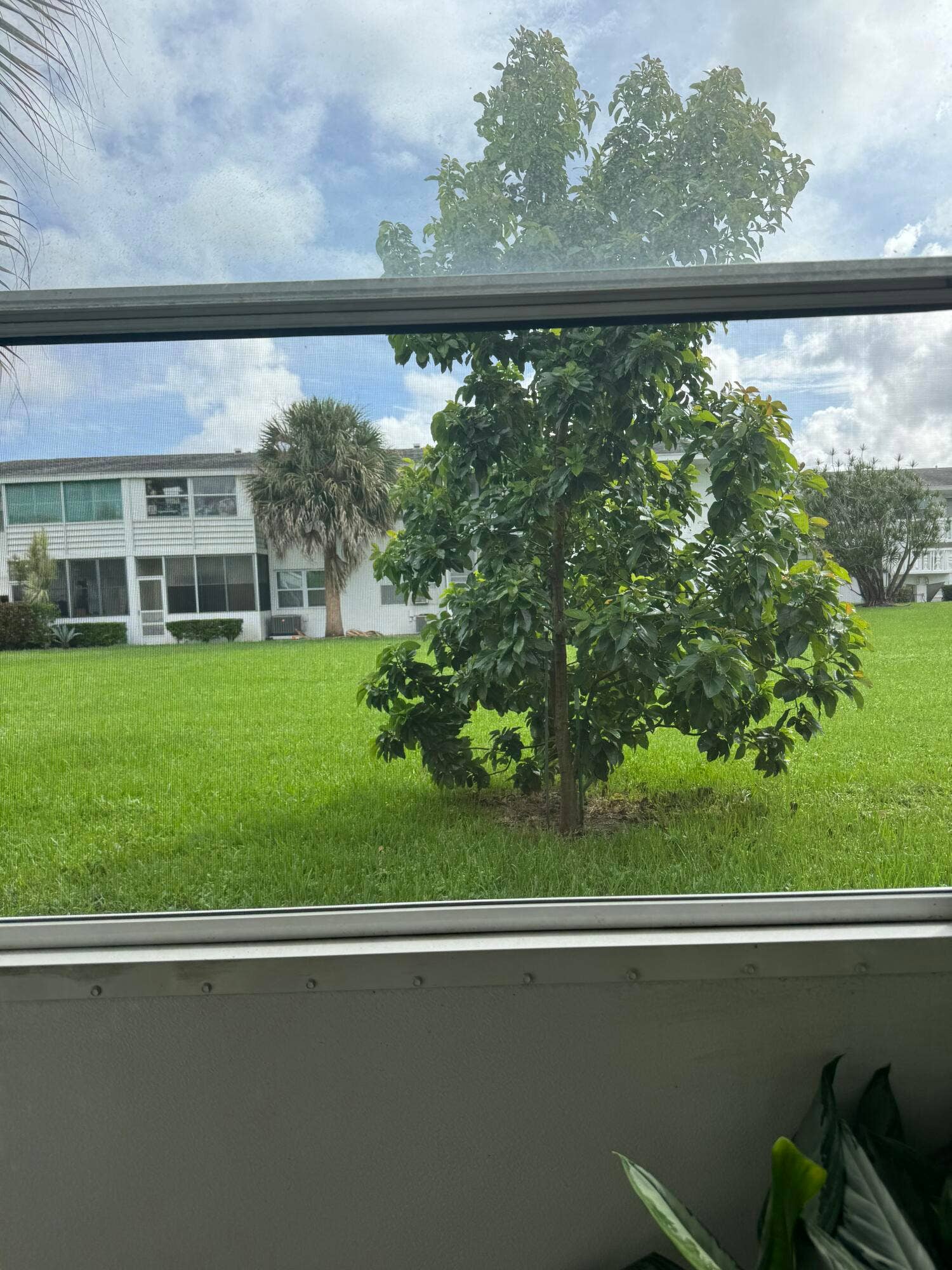 178 Coventry H, West Palm Beach, West Palm Beach, FL 33417 View from screened patio