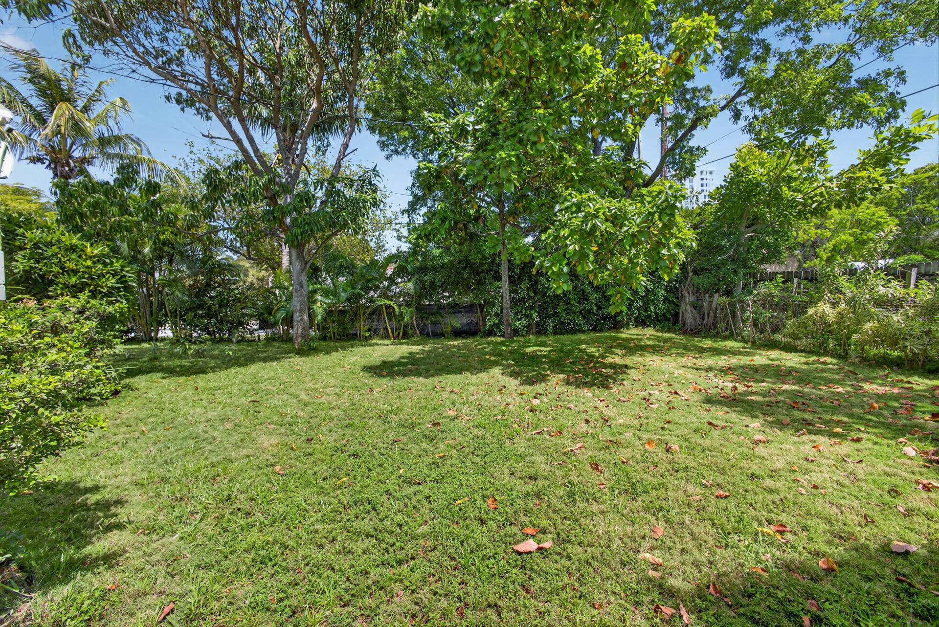 502 49th Street, West Palm Beach, FL 33407 36-web-or-mls-5D1A9498
