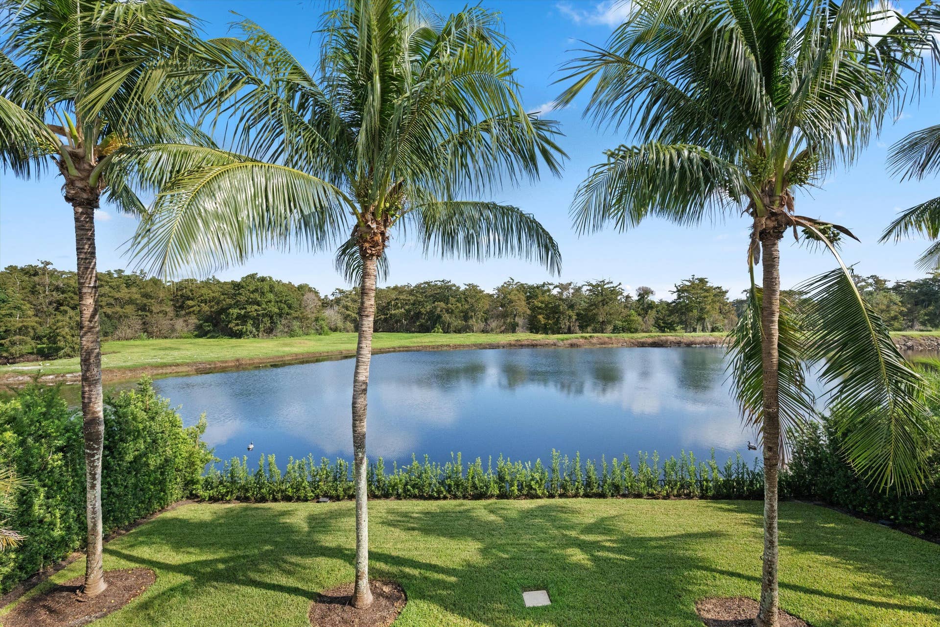 3173 Blue Cypress Lane, Wellington, FL 33414 31-DSC_9338