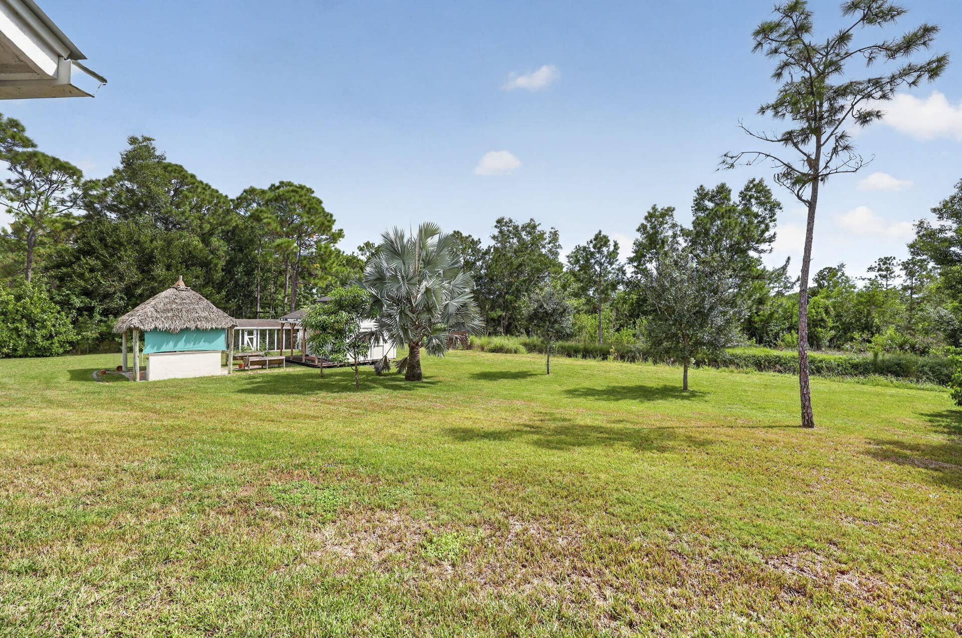70-web-or-mls-BS1A1214