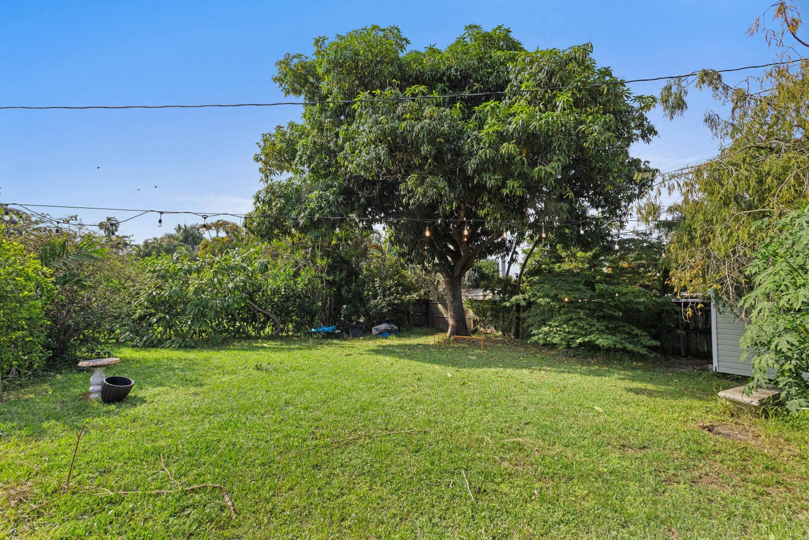 1429 HAYES Street, Hollywood, FL 33020 IMG_0895