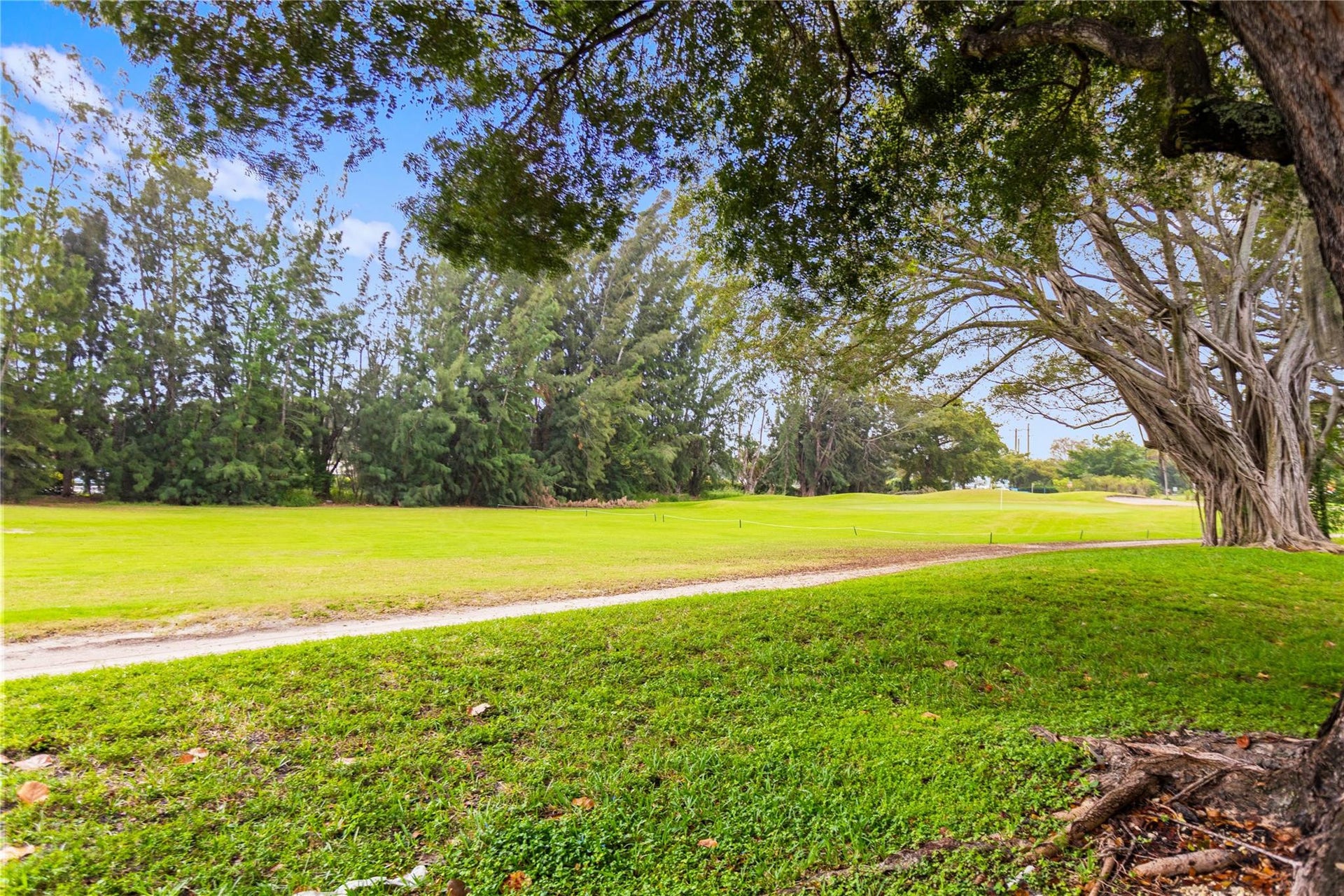 Walking/Jogging path
