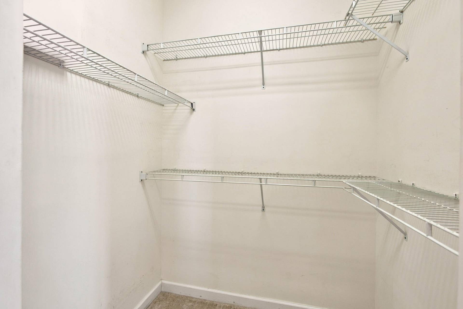 25-web-or-mls-7T7A9502