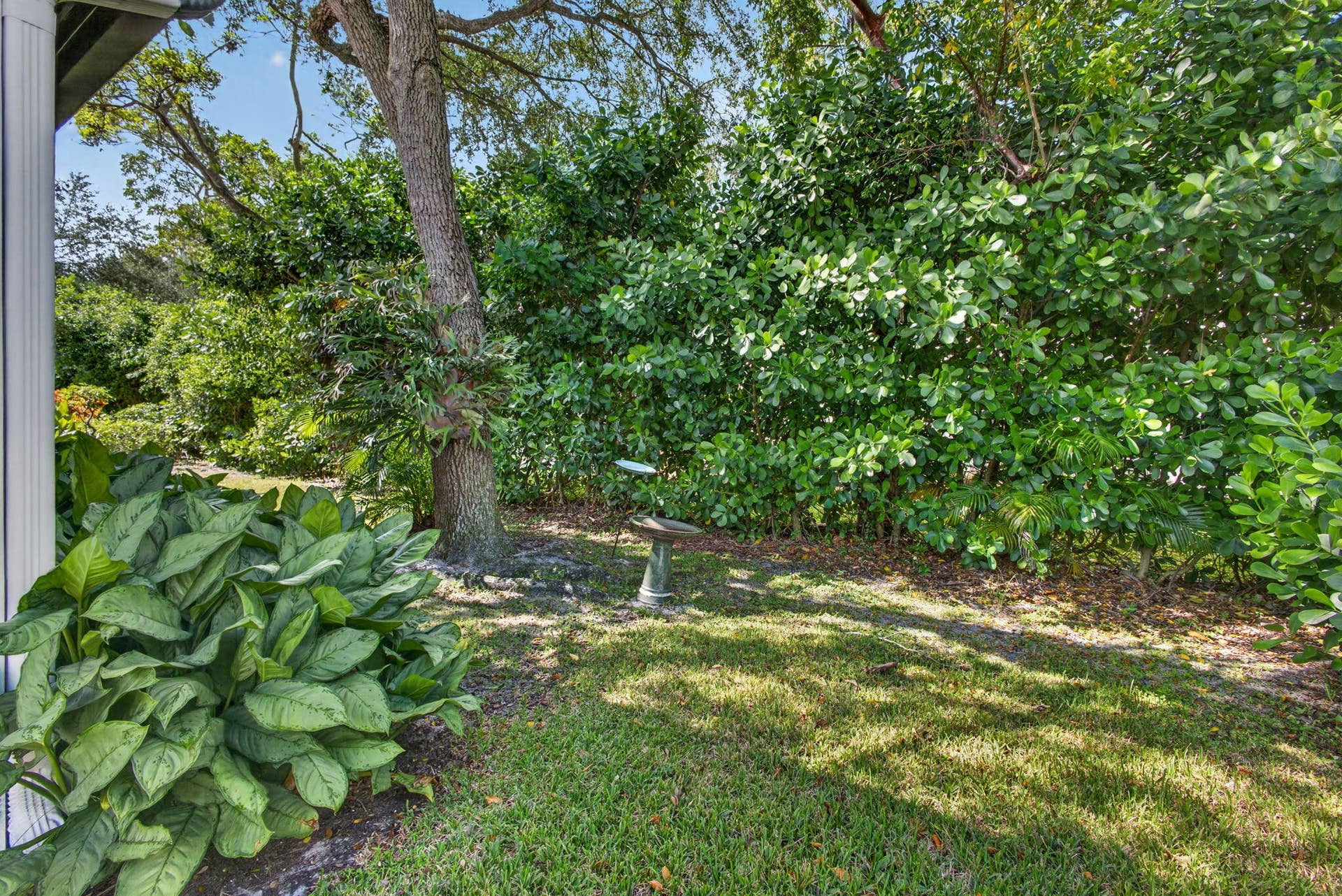 53-web-or-mls-5D1A9221