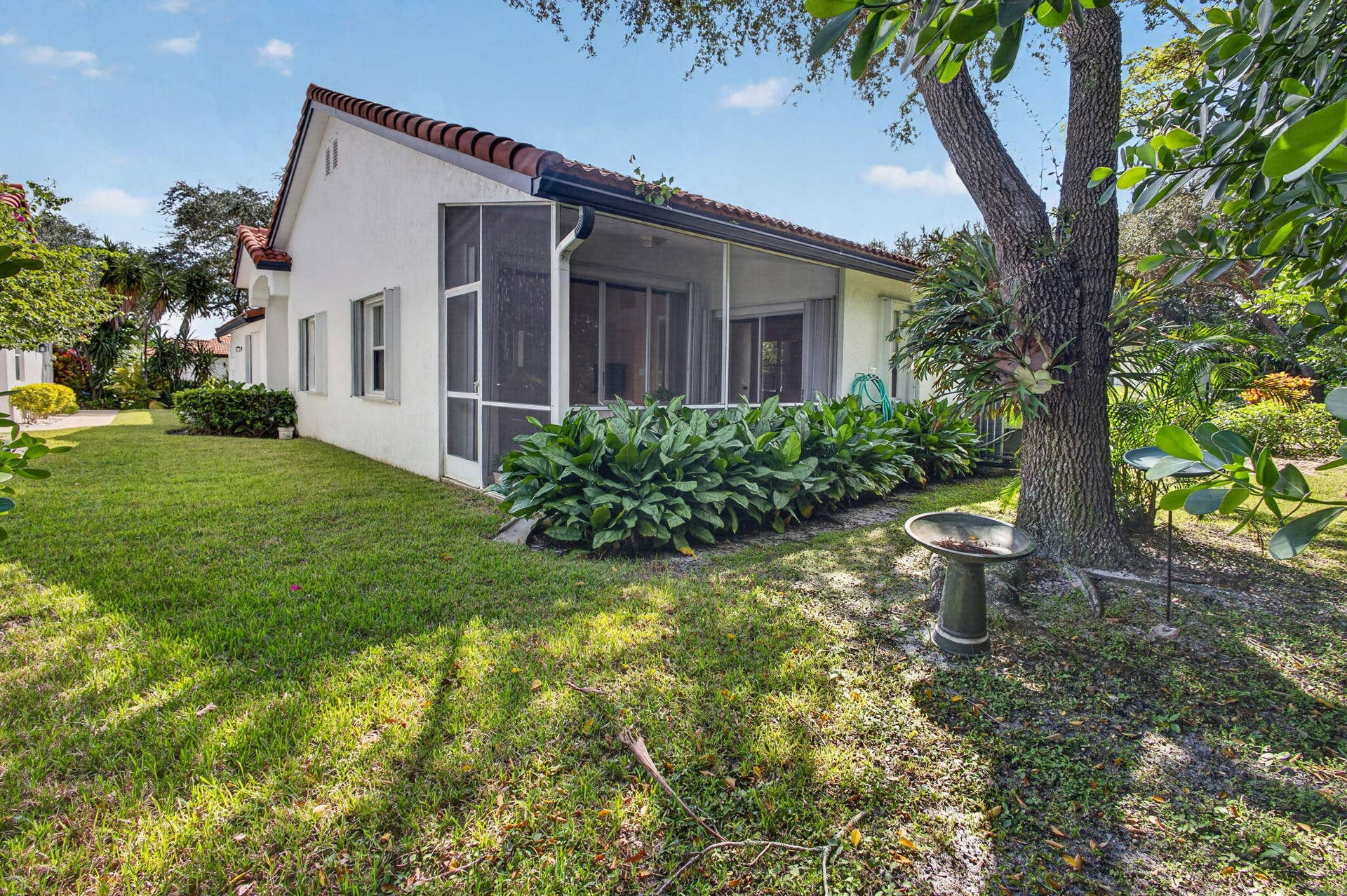 54-web-or-mls-5D1A9225