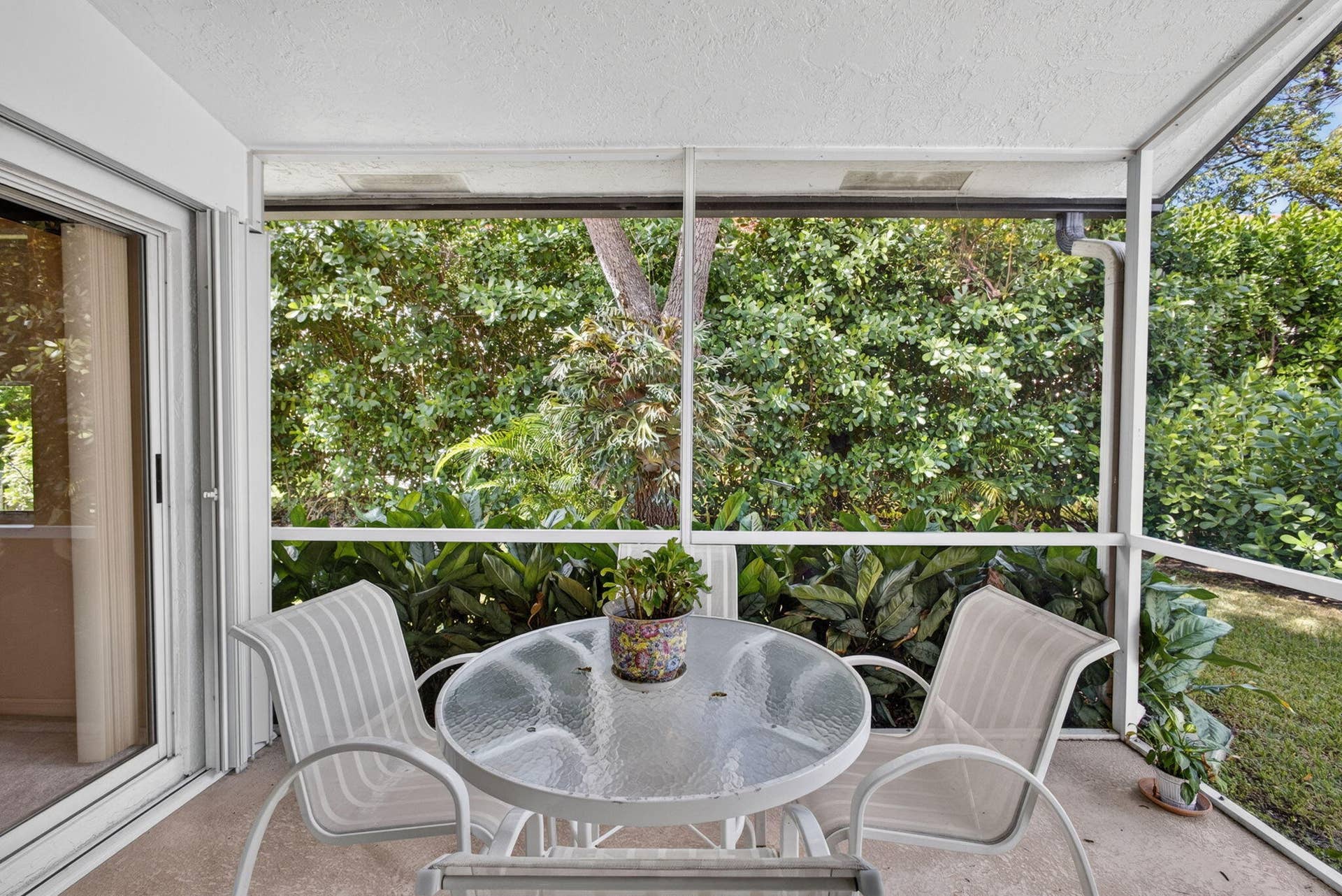 49-web-or-mls-5D1A9202