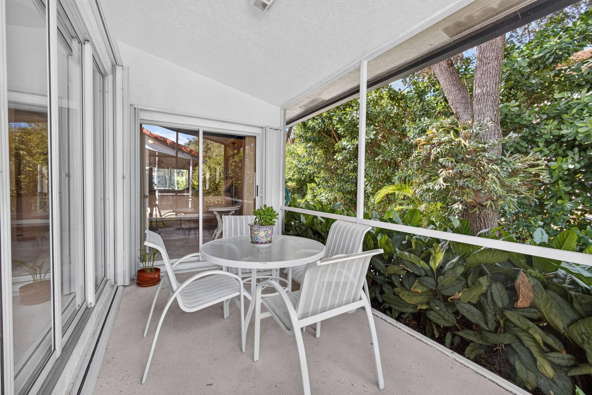 51-web-or-mls-5D1A9209