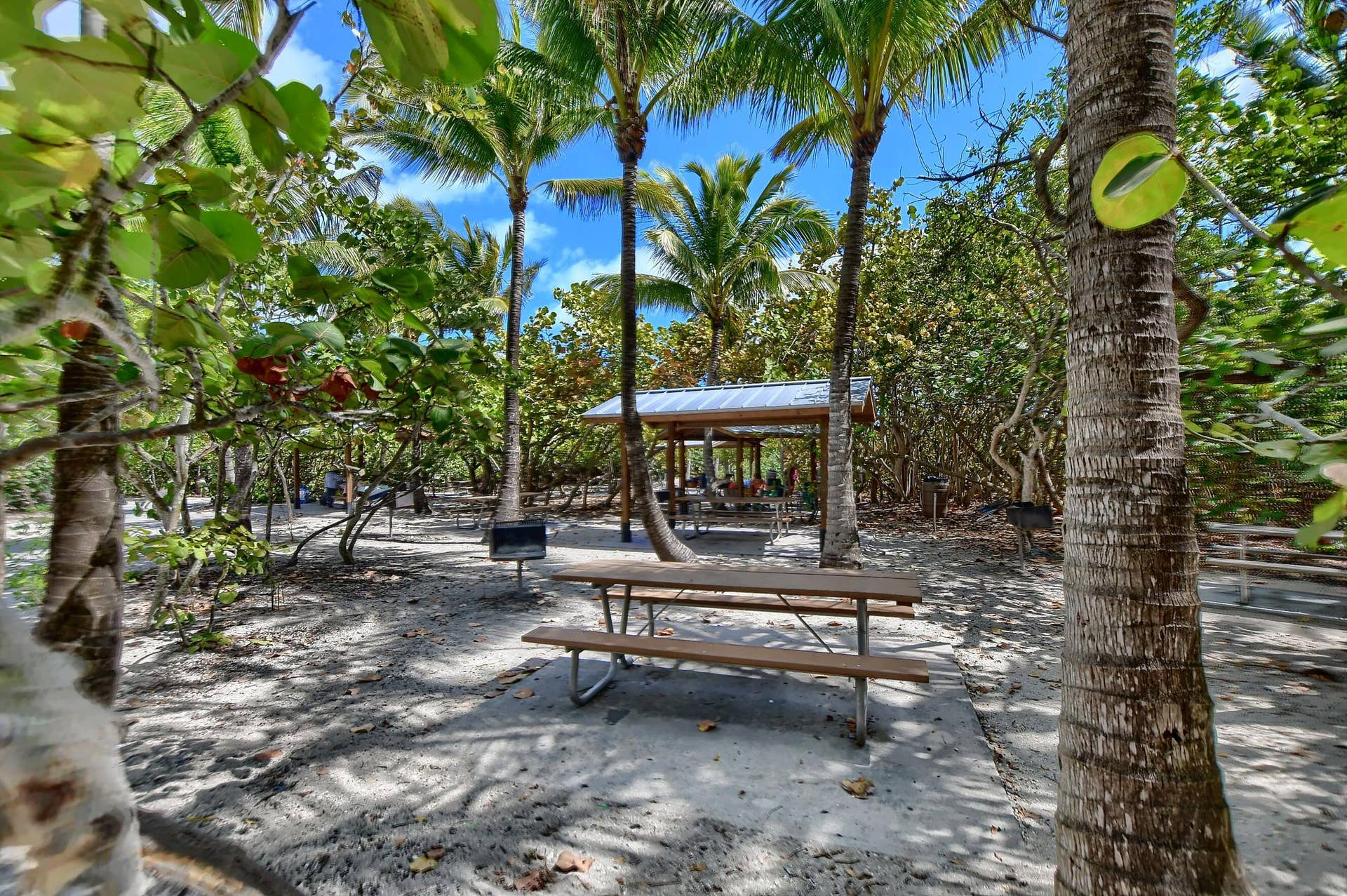 800 E Camino Real, #305, Boca Raton, FL 33432 800 E Camino Real 305