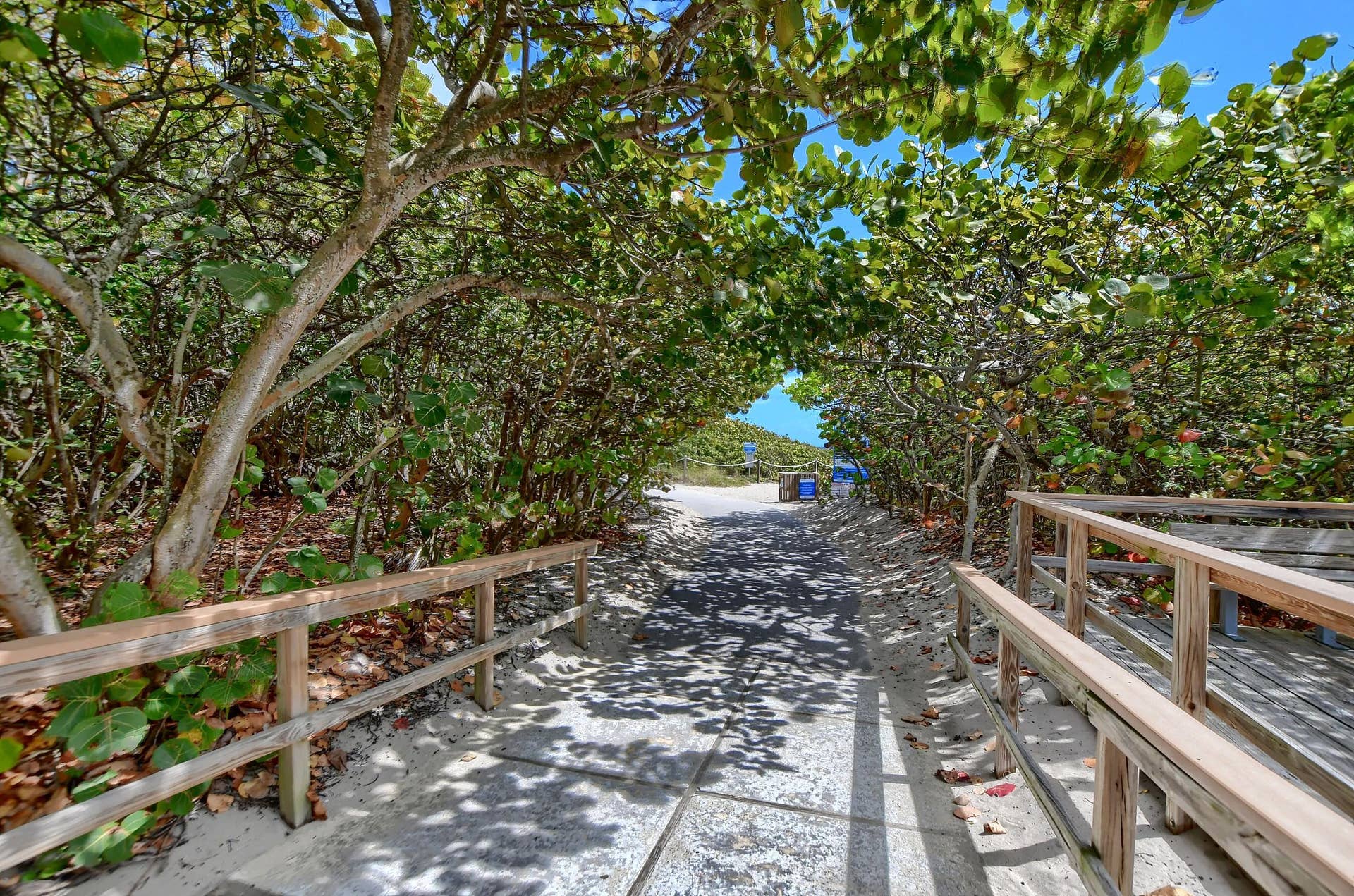 800 E Camino Real, #305, Boca Raton, FL 33432 800 E Camino Real 305