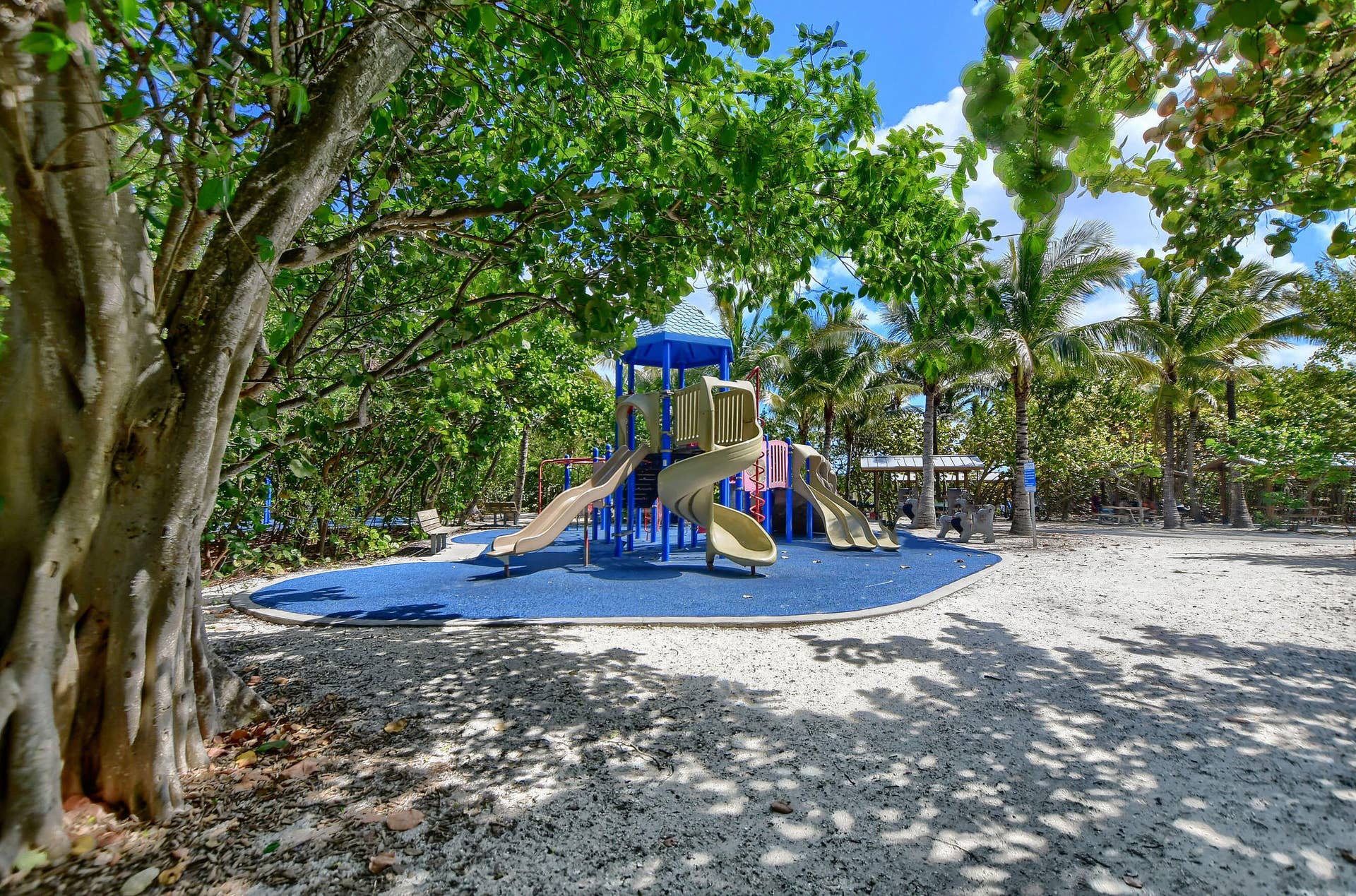 800 E Camino Real, #305, Boca Raton, FL 33432 800 E Camino Real 305