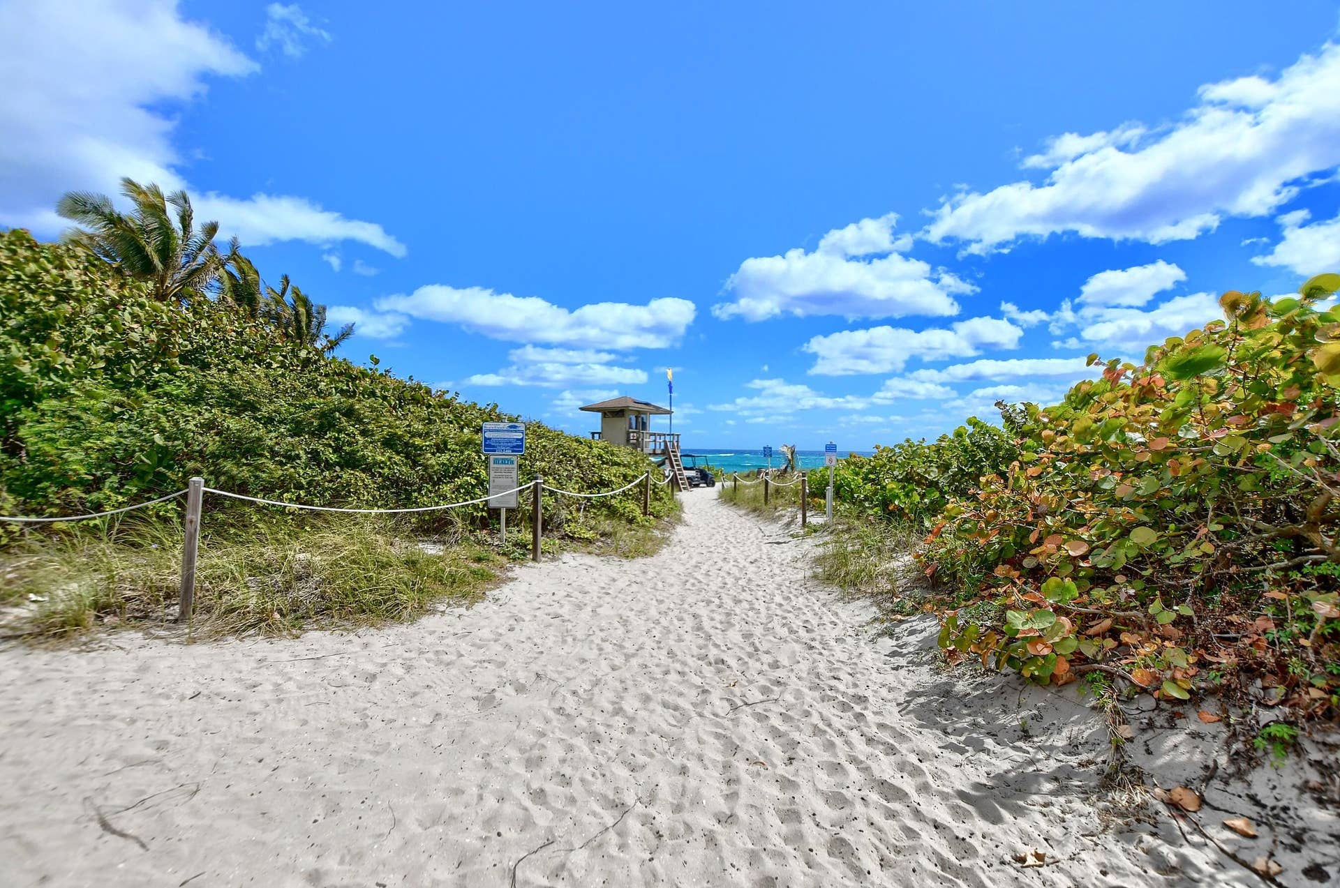 800 E Camino Real, #305, Boca Raton, FL 33432 800 E Camino Real 305