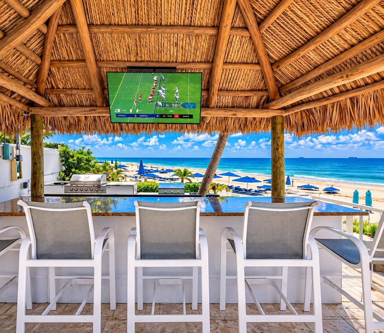 Thatched roof structure with a mounted television
