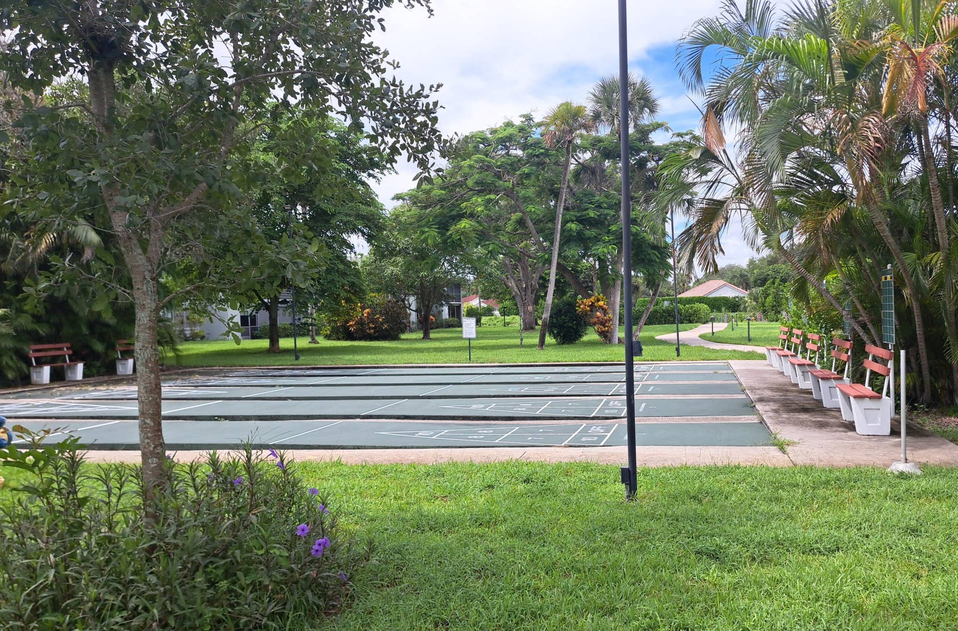 shuffleboard