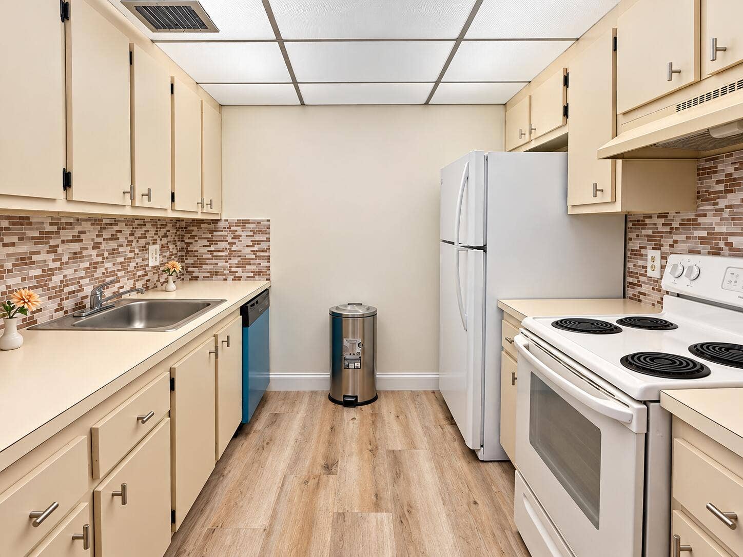 Bright Modern Galley Kitchen