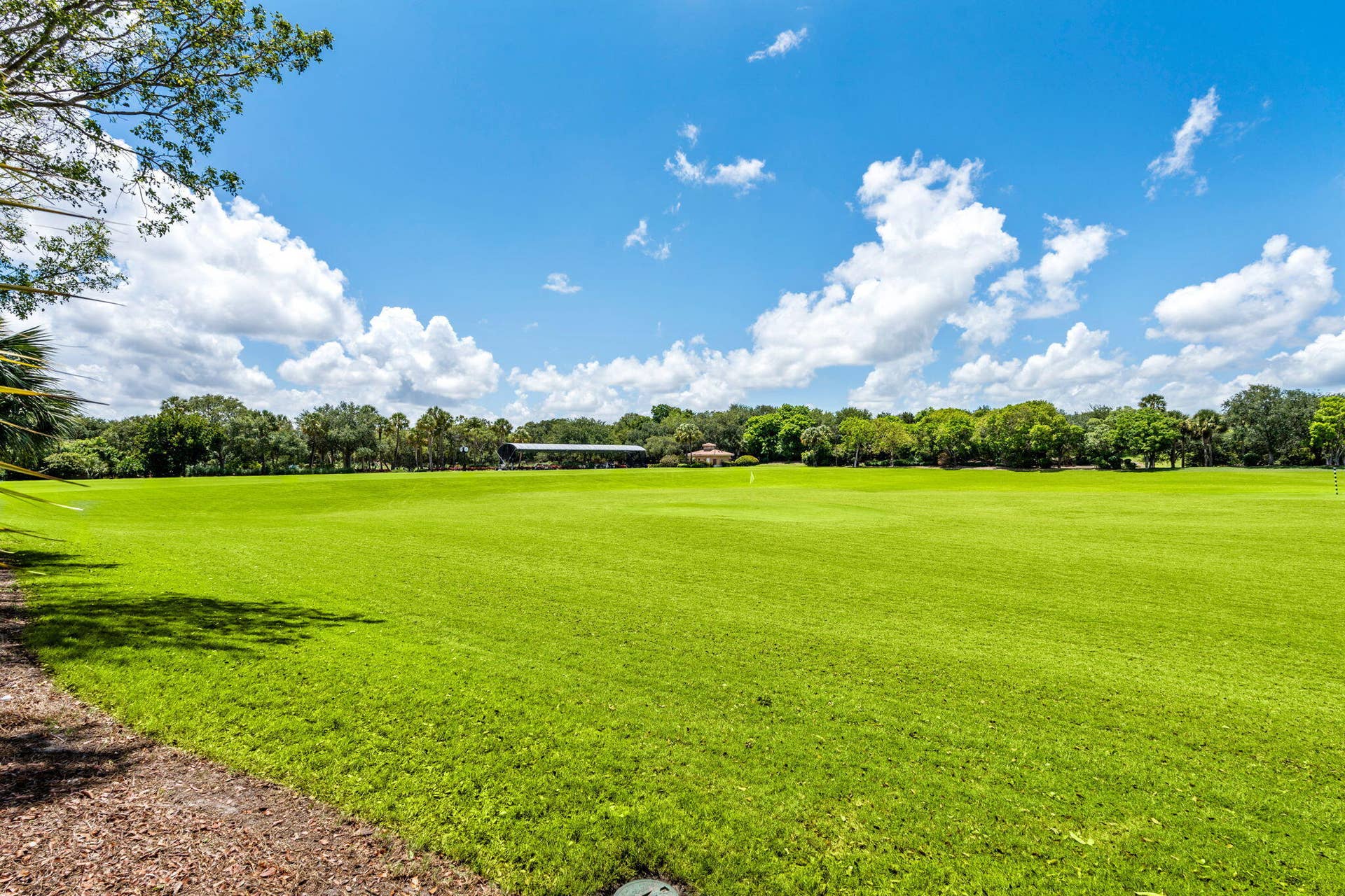 43-web-or-mls-A7406894