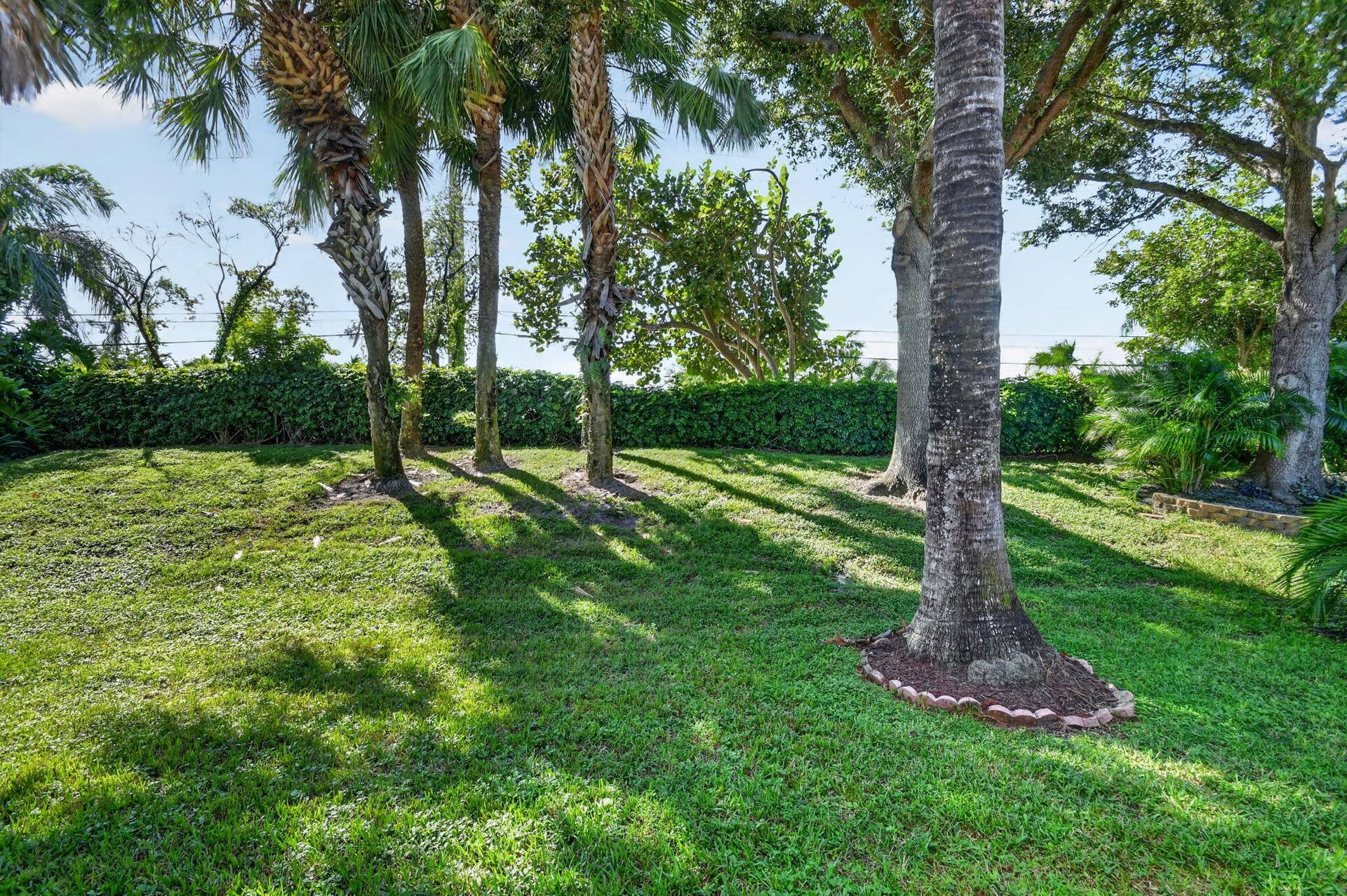 BACKYARD VIEW