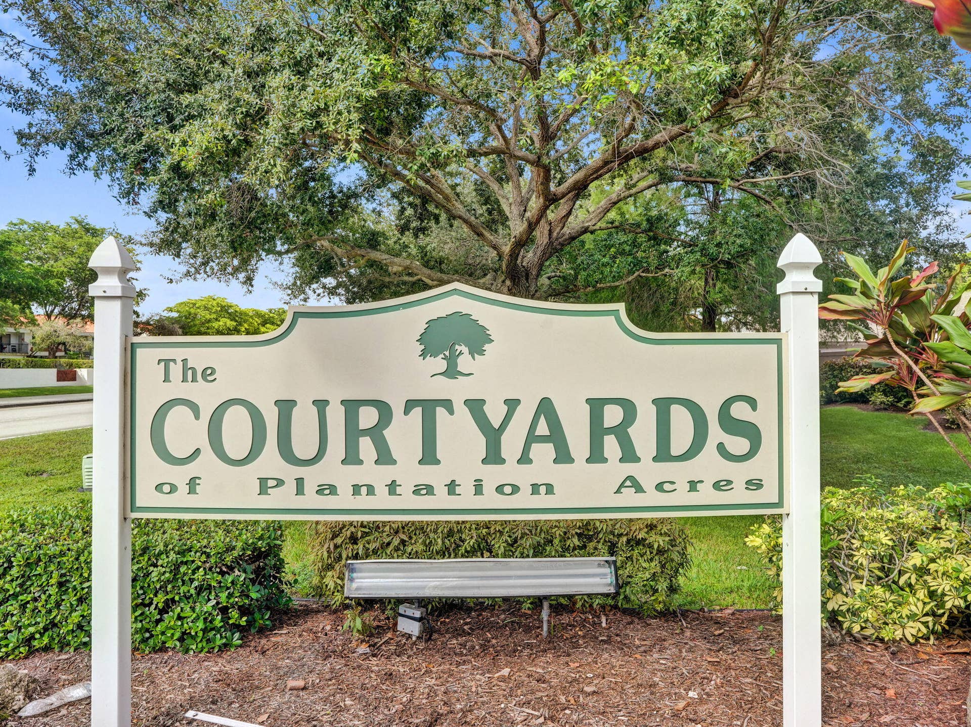 30-web-or-mls-DSC04698