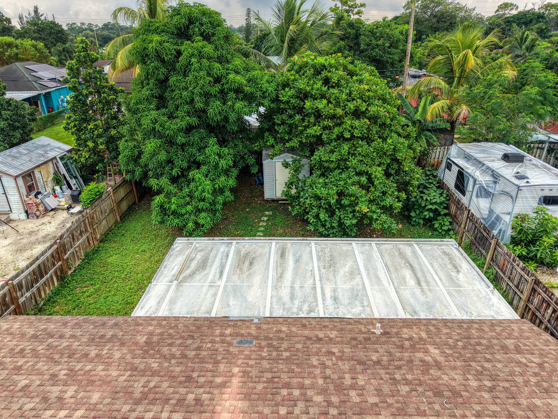 14 backyard (2)