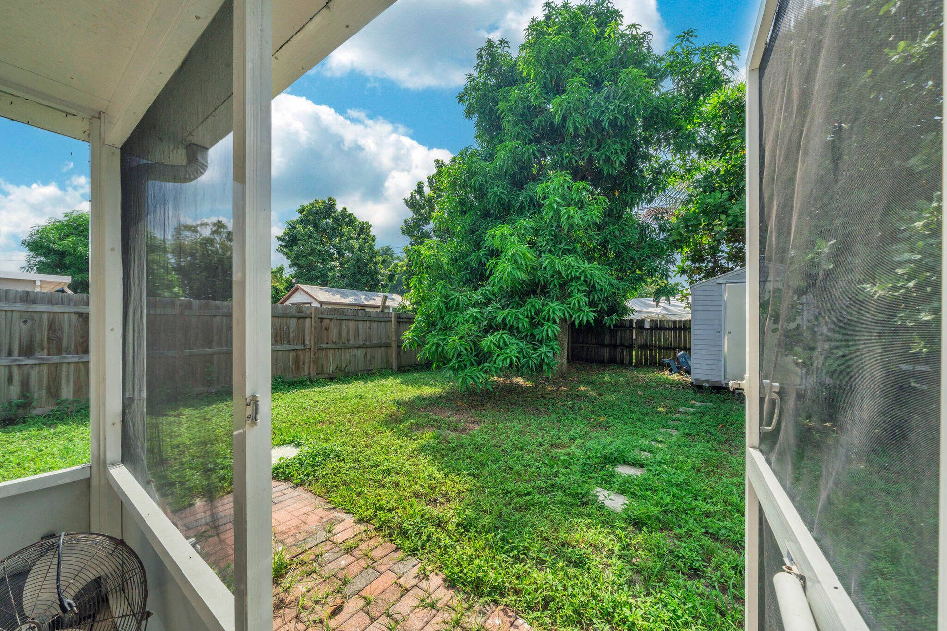 14 backyard (1)