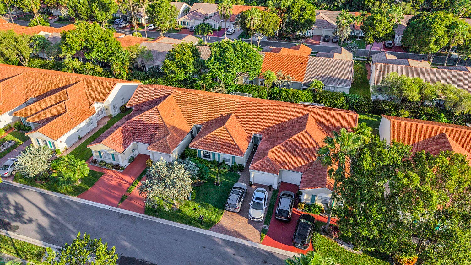 Drone View