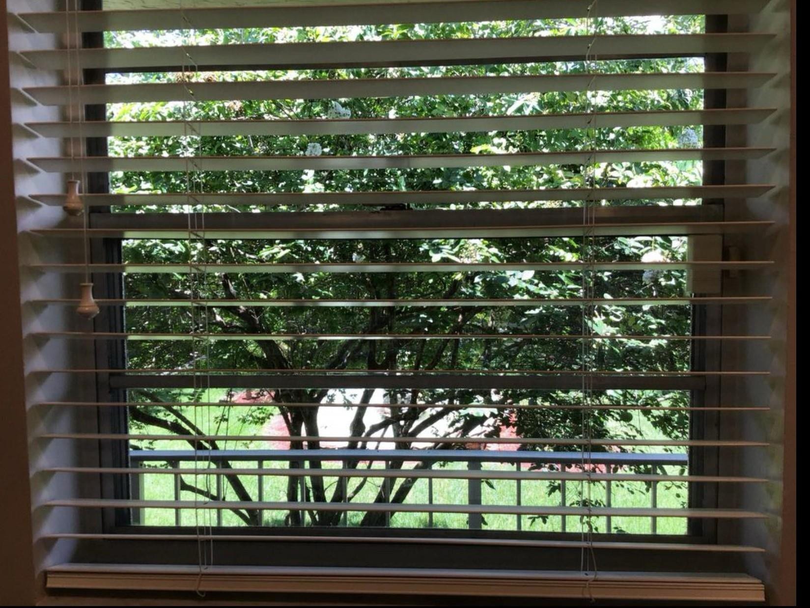 7173 ORANGE Drive, #220B, Davie, Davie, FL 33314 View from Kitchen Window
