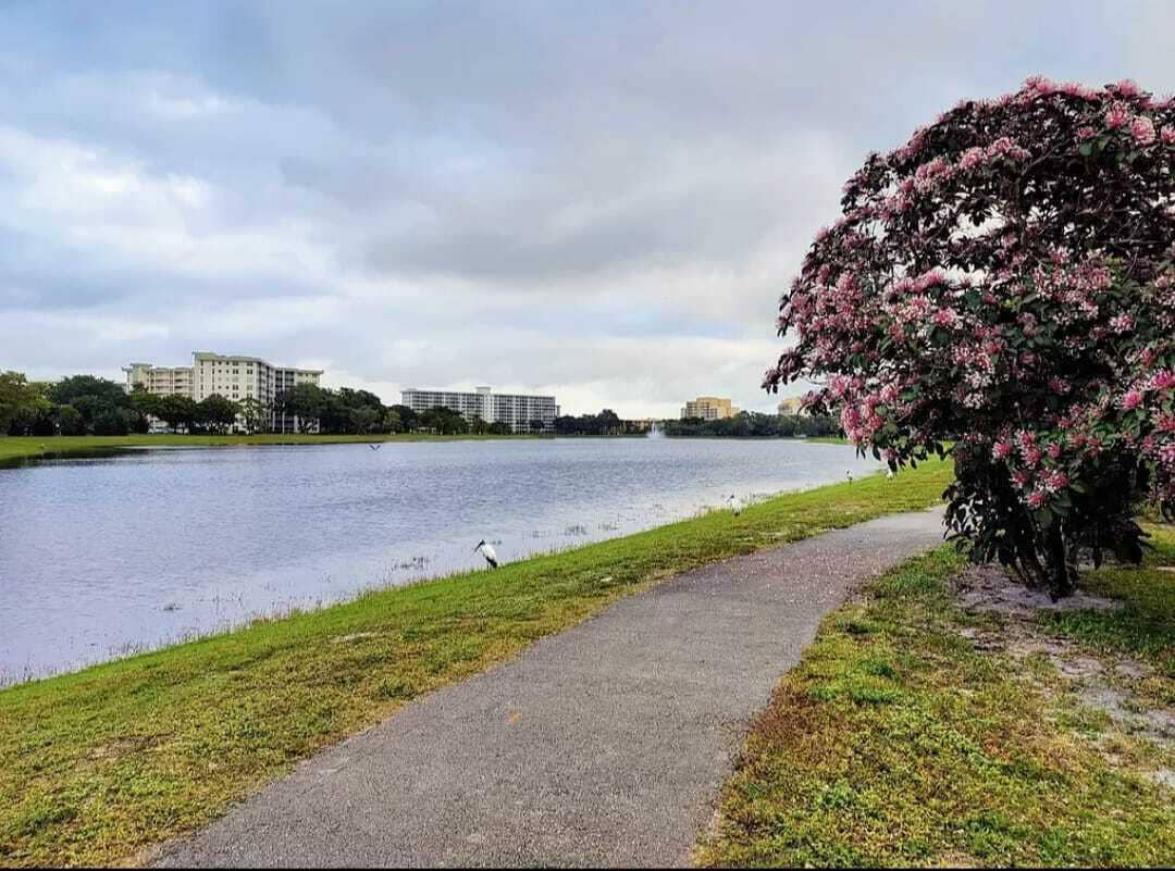3150 N Palm Aire Drive, #709, Pompano Beach, Pompano Beach, FL 33069 IMG-20240625-WA0045