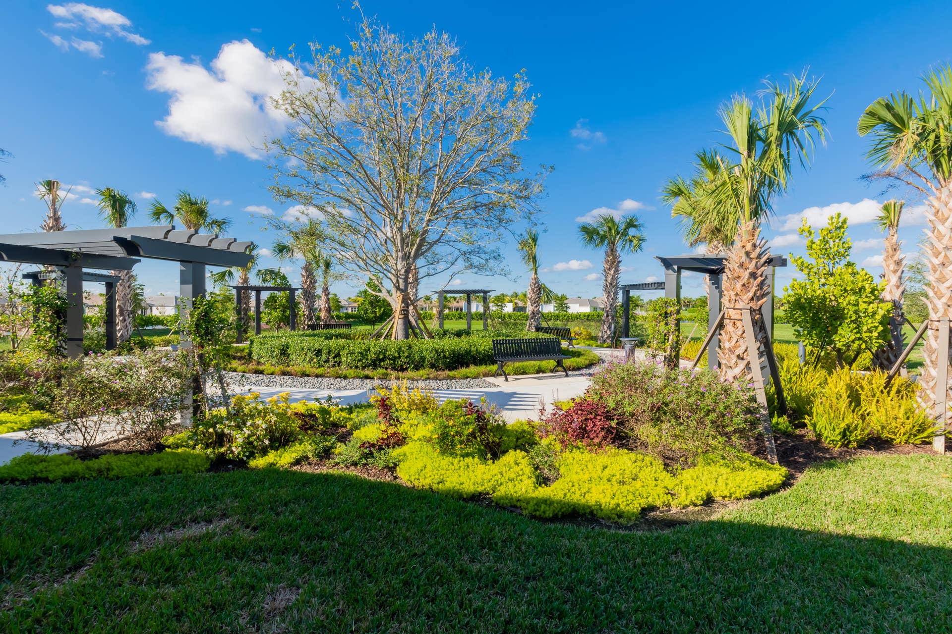 DSC_9564-HDR