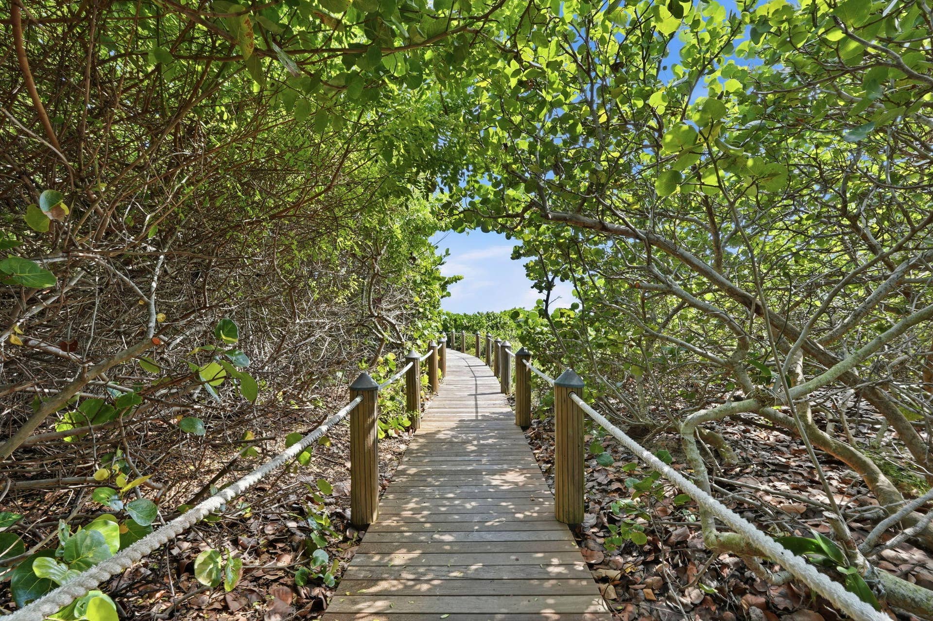 145 S OCEAN Avenue, #611, Palm Beach Shores, FL 33404 Private Access to Beach