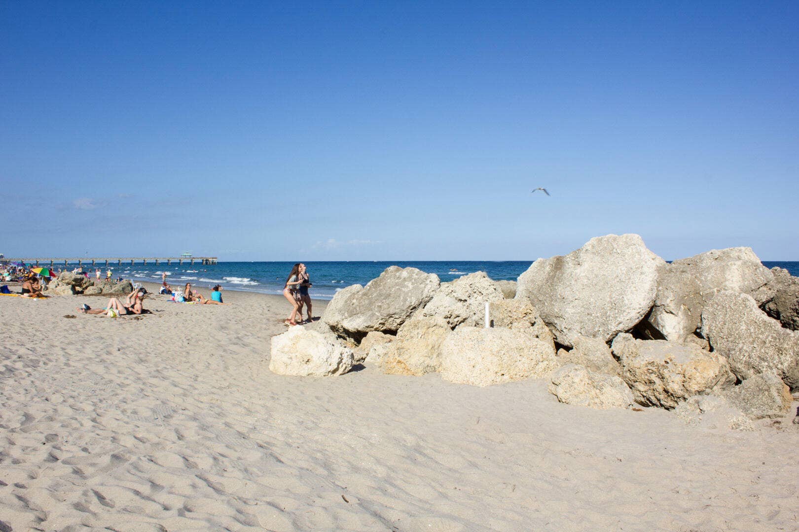 1955 NE 4th Street, #Unit 2, Deerfield Beach, FL 33441 db (6)