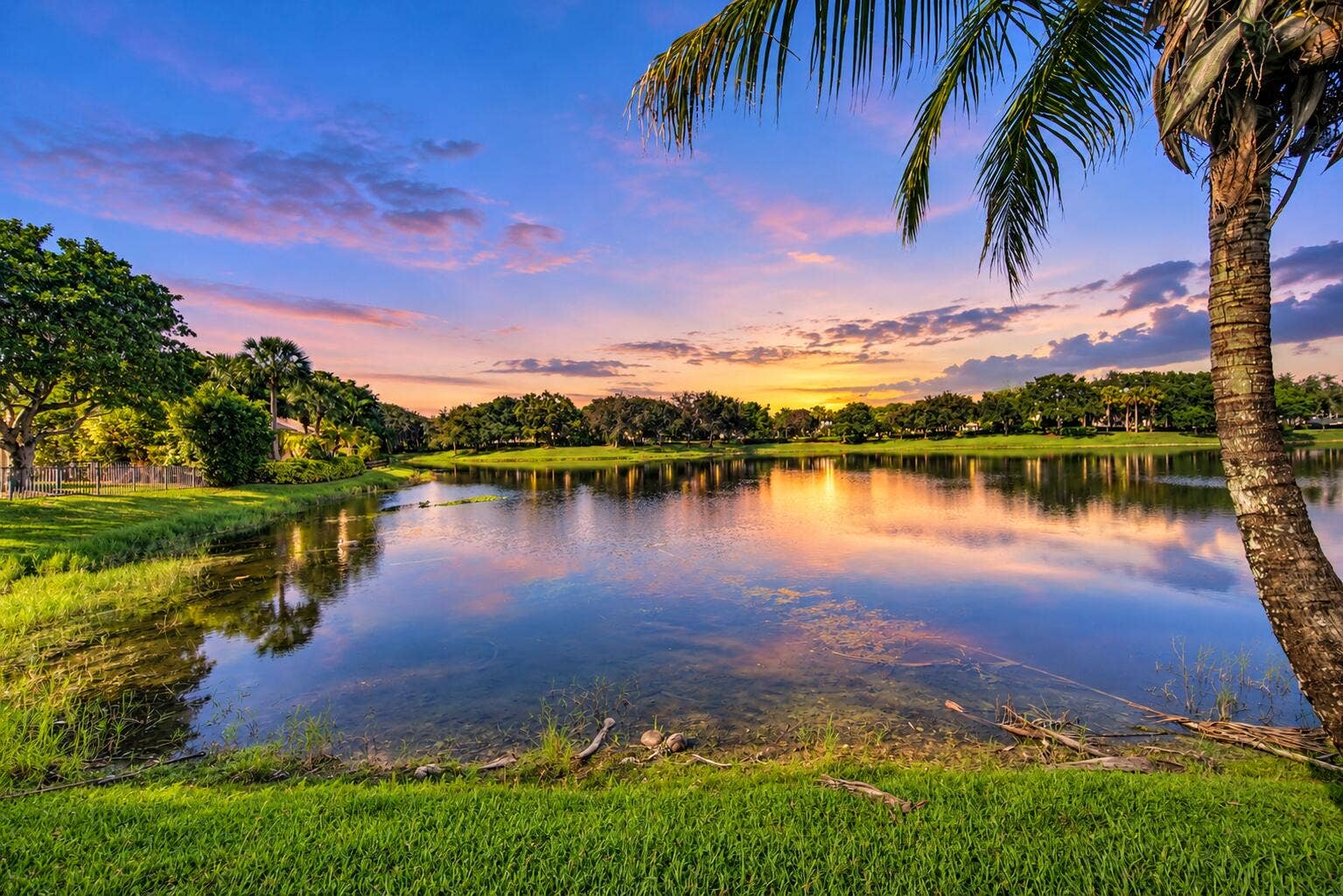 11289 NW 65TH Manor, Parkland, FL 33076 Tranquil Sunset Lake with Palms