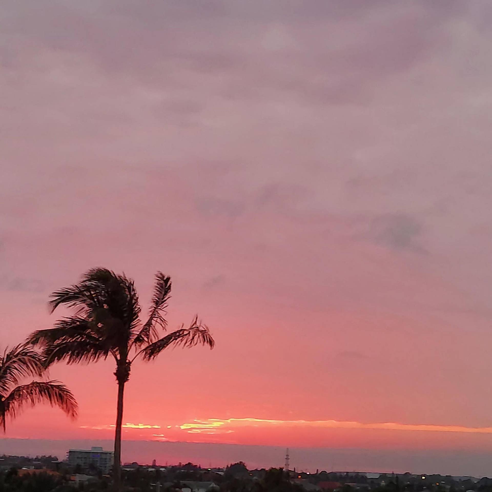 4000 N OCEAN Drive, #403, Singer Island, FL 33404 e42efdca-8705-4916-8cb6-57e774b227dd-1_a