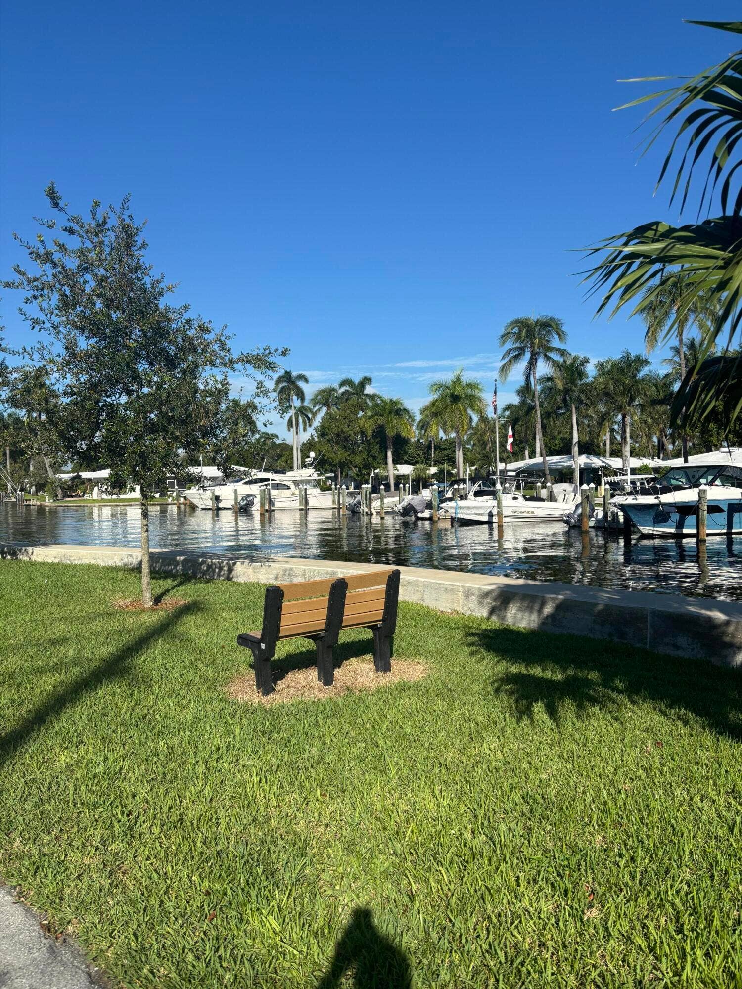 Small waterfront dog park across the street