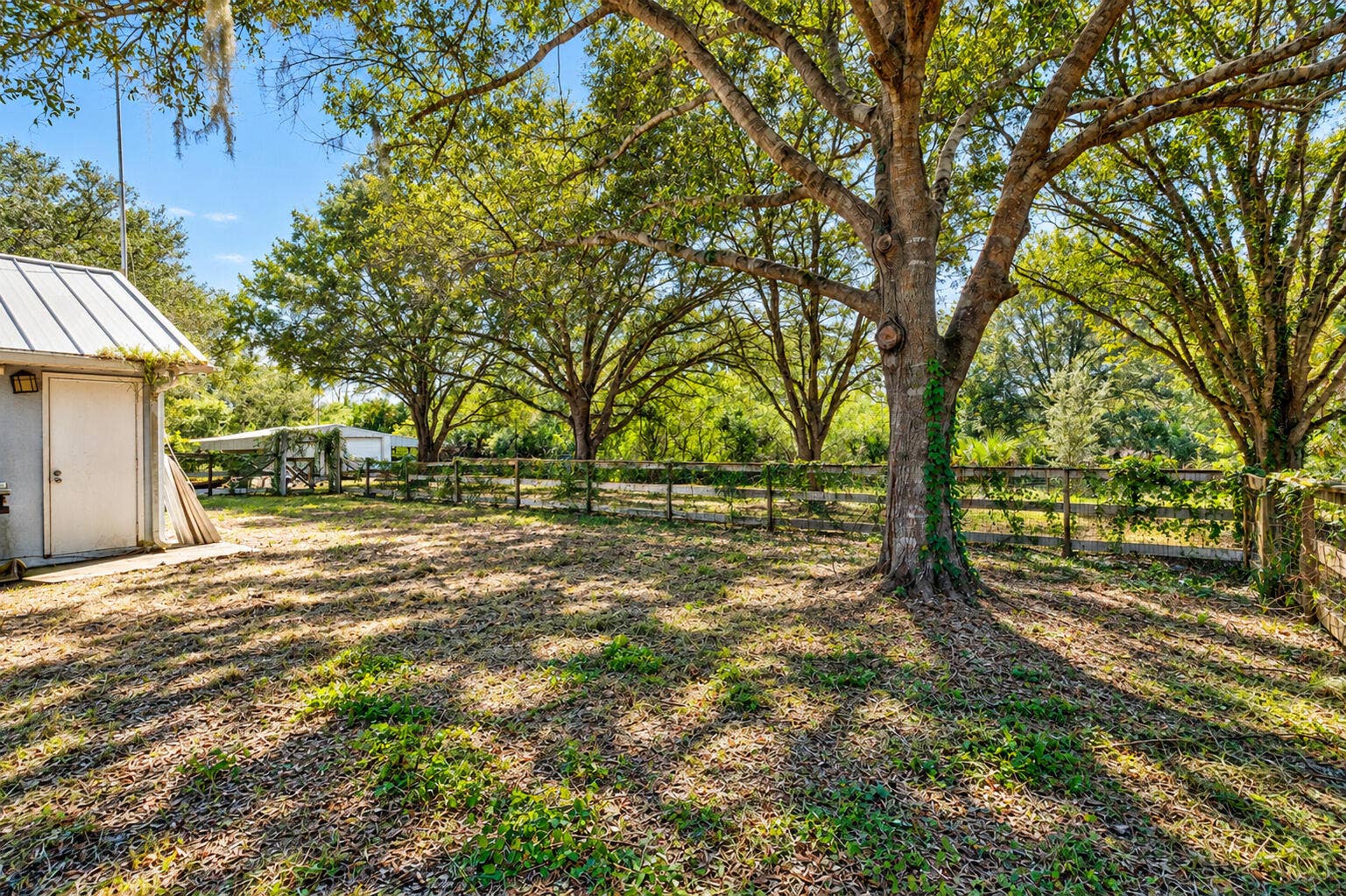 Side Yard
