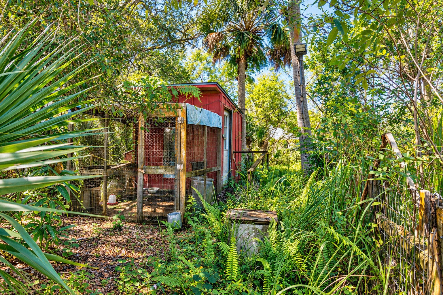 Chicken coop with fenced enclosure