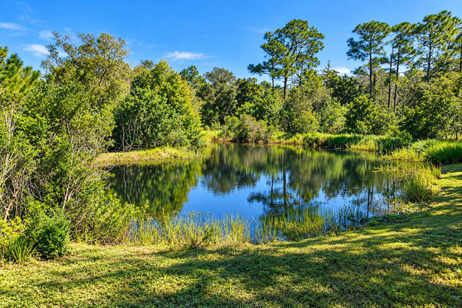 Pond on Front of Property
