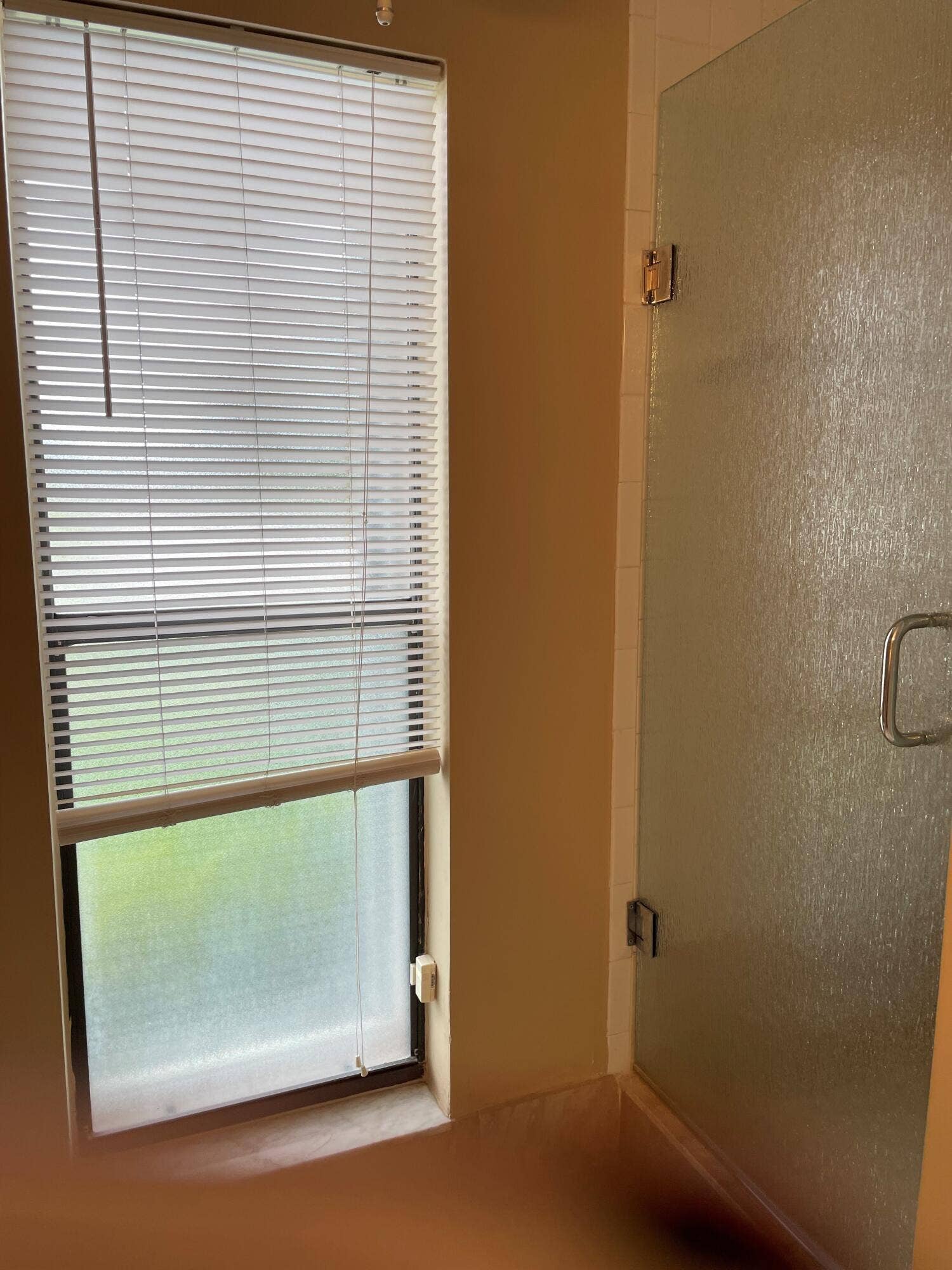 6347 Timberlakes Way, Delray Beach, FL 33484 tim master shower