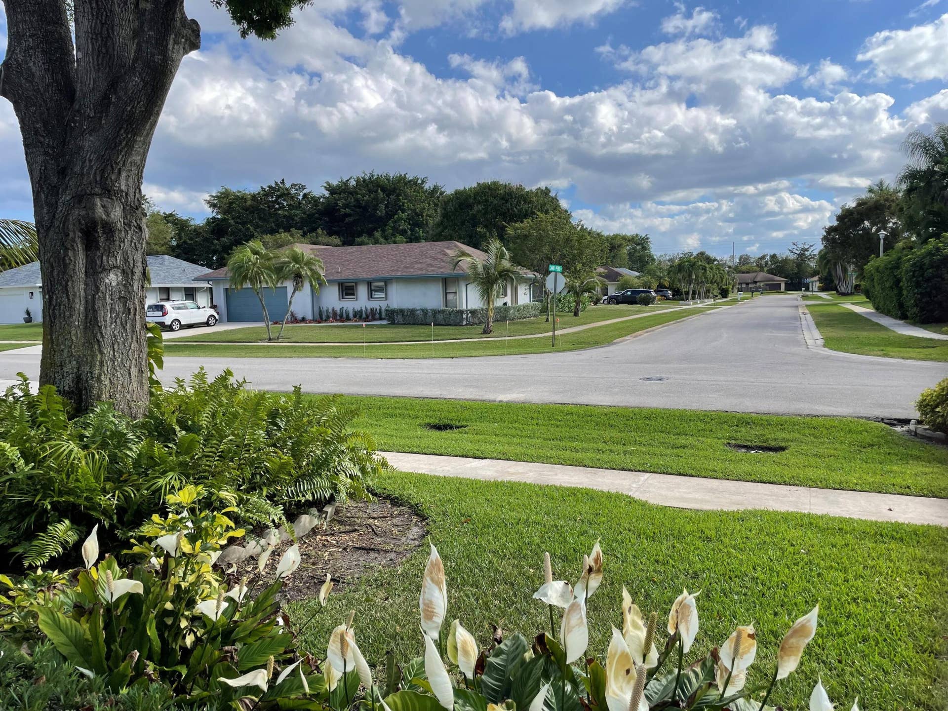 6347 Timberlakes Way, Delray Beach, FL 33484 tim street view