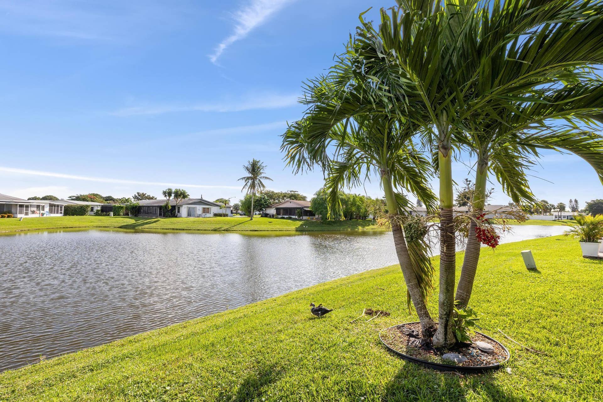 13654 Whippet Way W, Delray Beach, Delray Beach, FL 33484 CZ4A5753