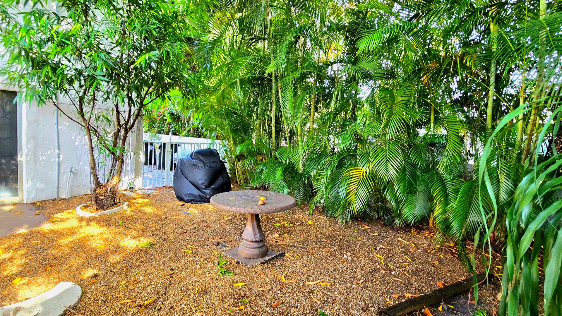 219 S 17TH Avenue S, Lake Worth Beach, FL 33460 20260713_172210