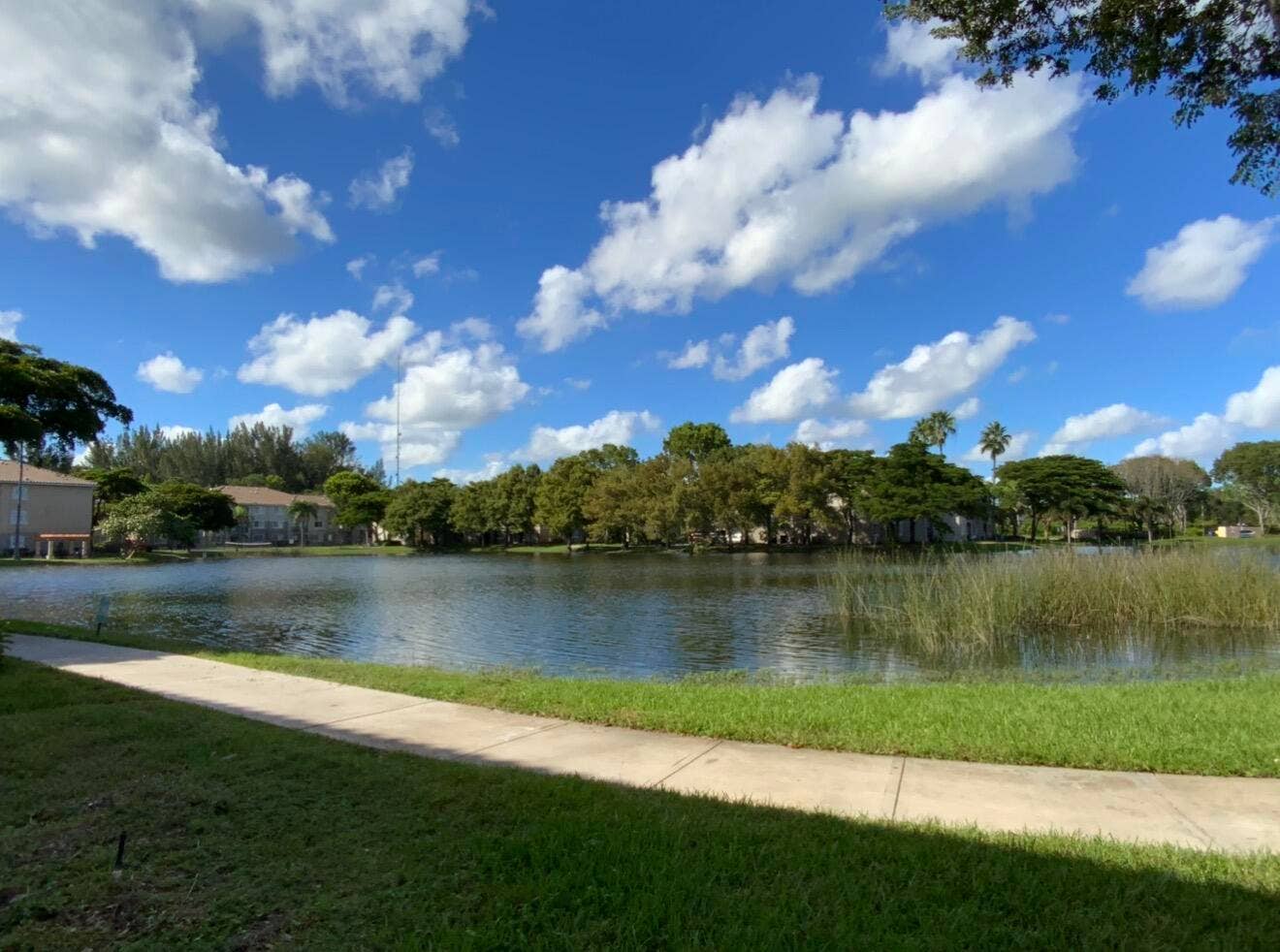 4159 N HAVERHILL Road, #1304, West Palm Beach, FL 33417 IMG_7377