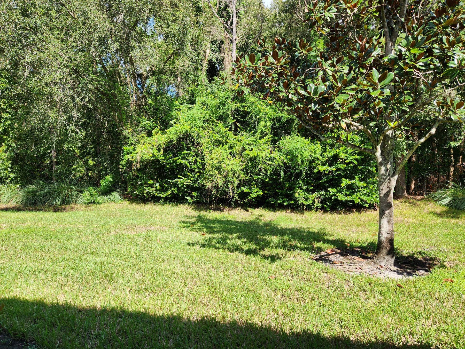 2765 SE Birmingham Drive, Stuart, FL 34994 Back yard