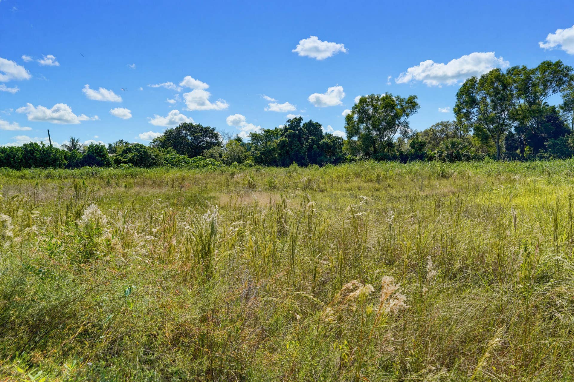 16682 64TH Place N, Loxahatchee, The Acreage, FL 33470 DSC08149
