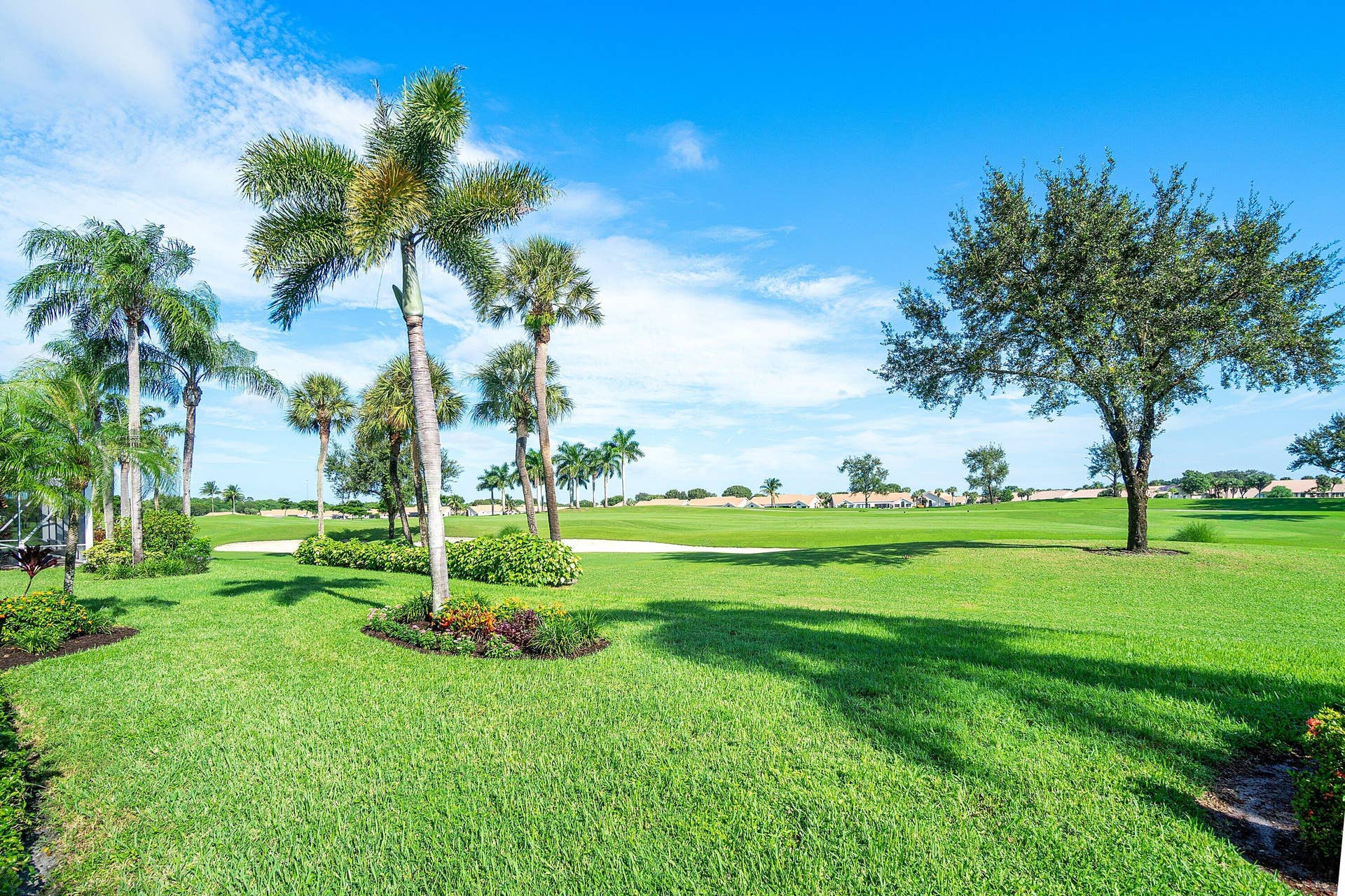 Backyard View