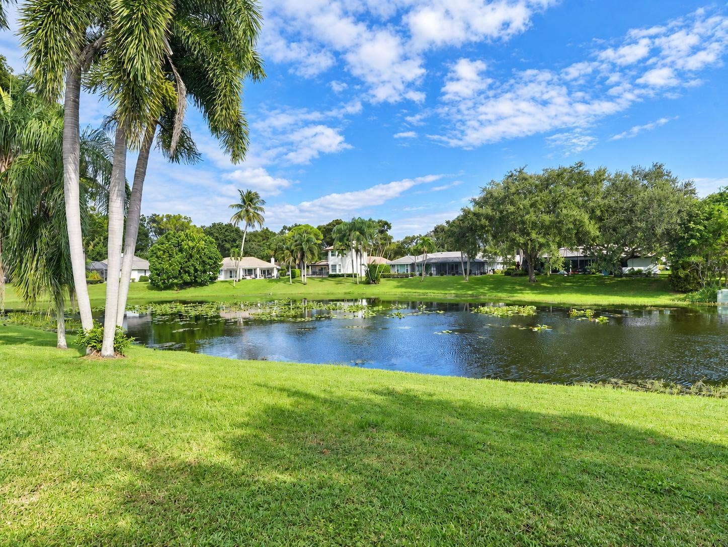 Lakefront View